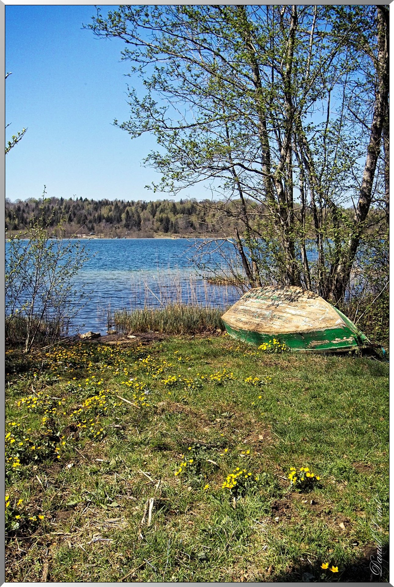 Lac