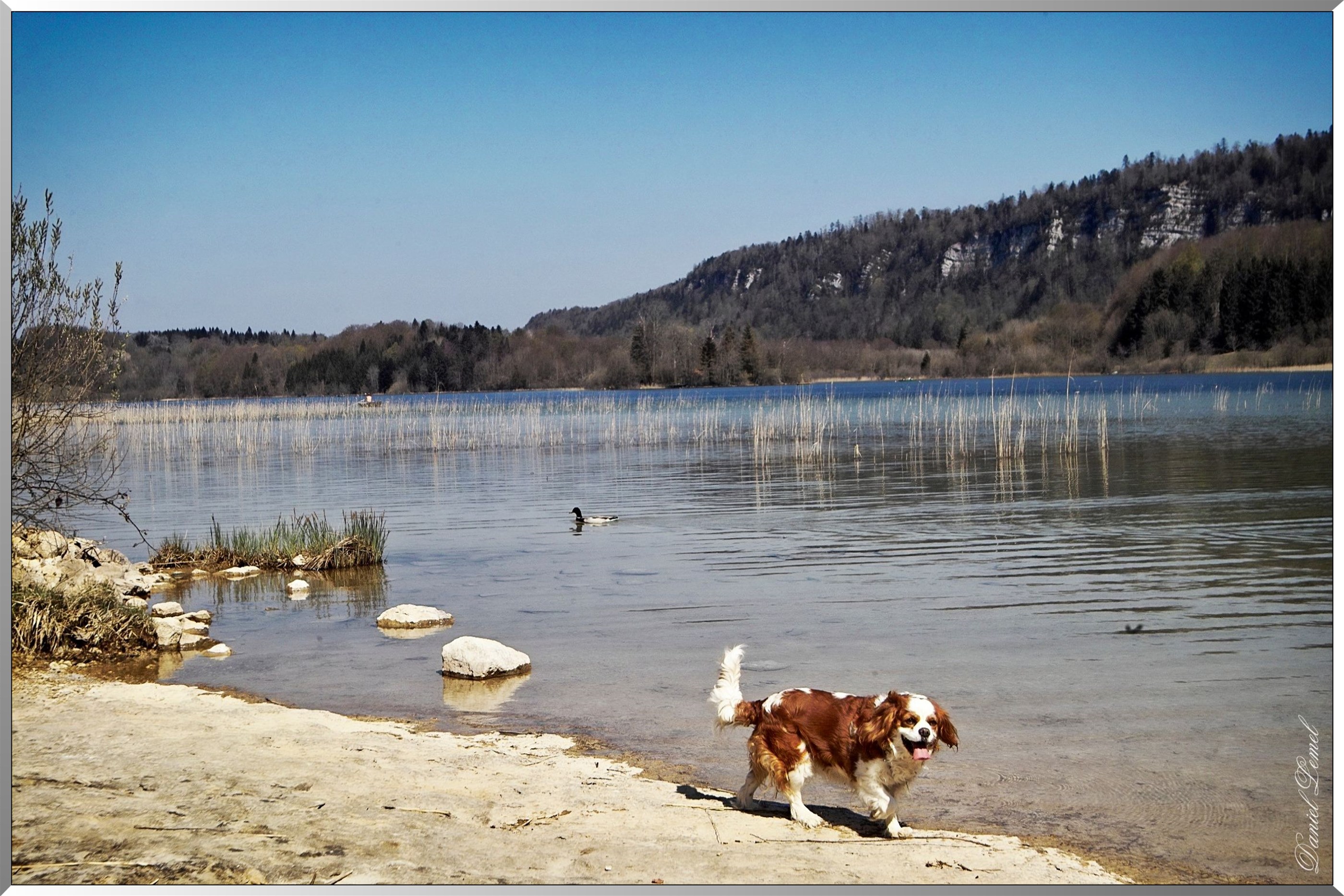 Lac