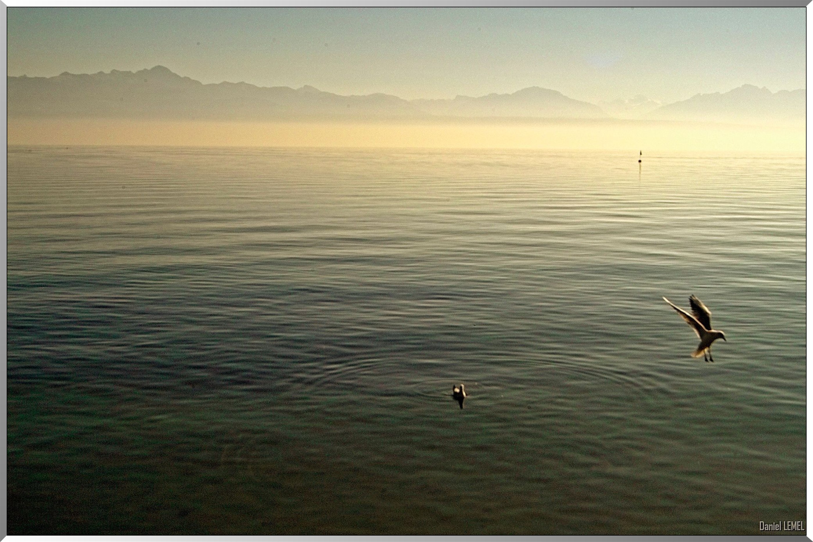 Brume