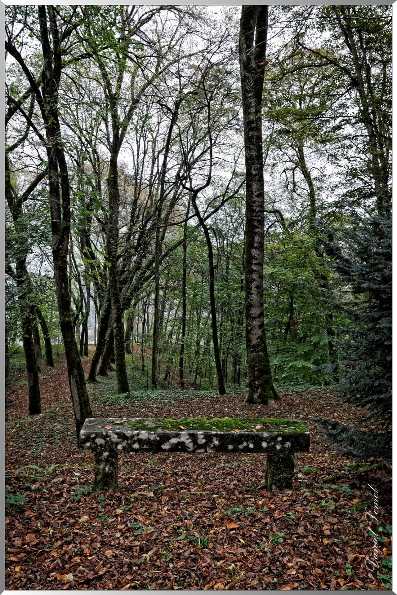 Banc
