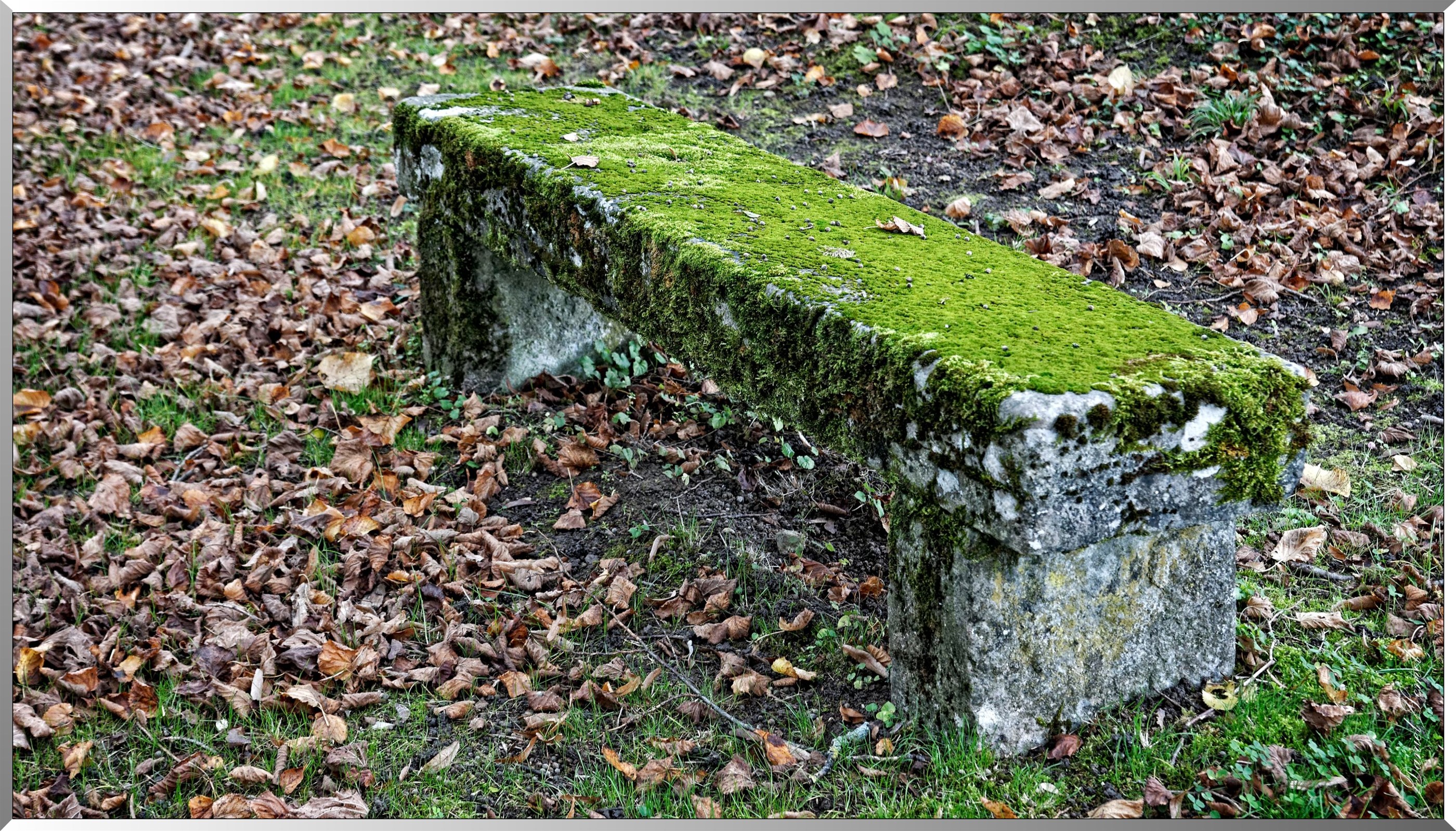 Banc en mousse