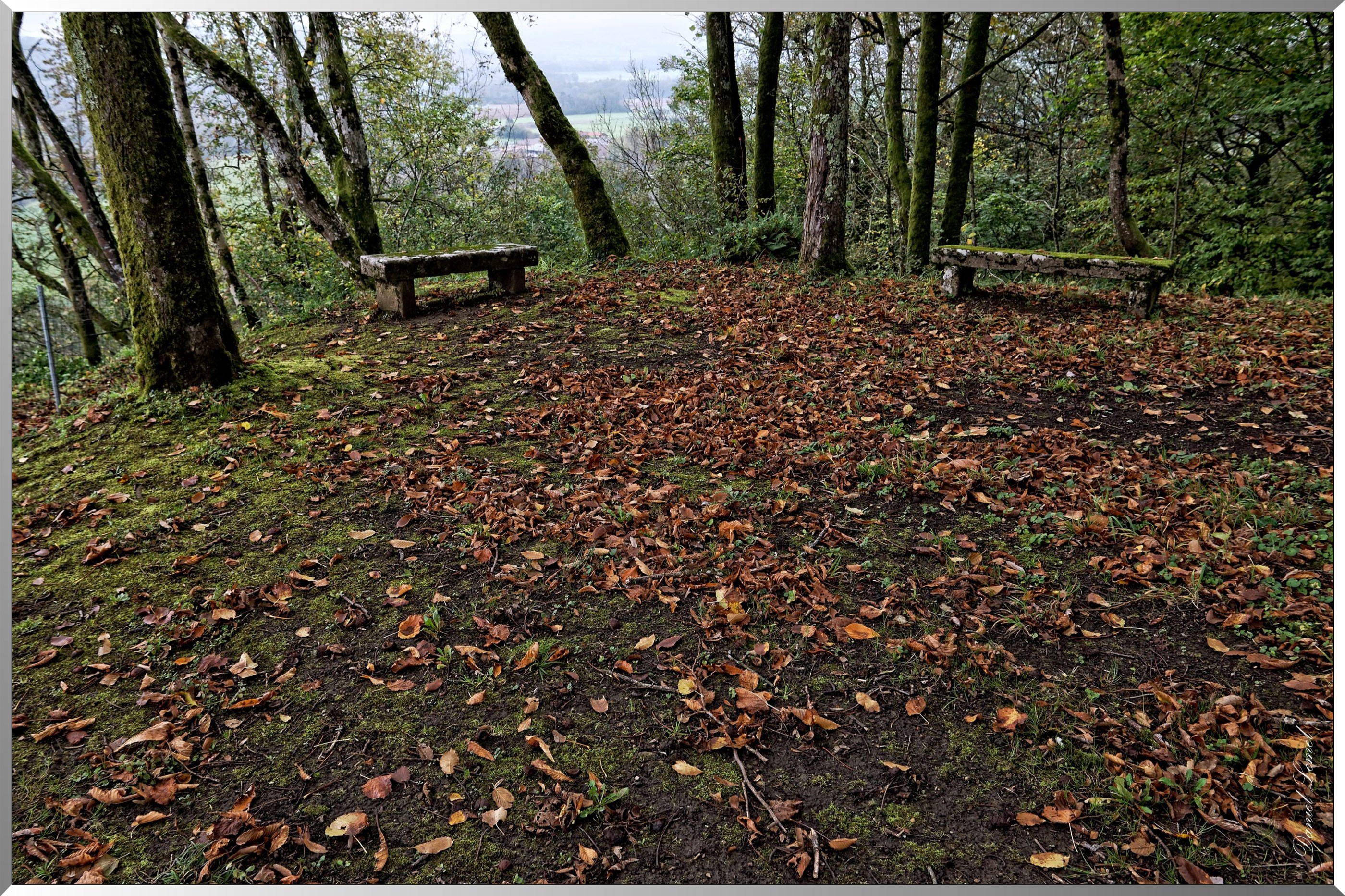 Bancs