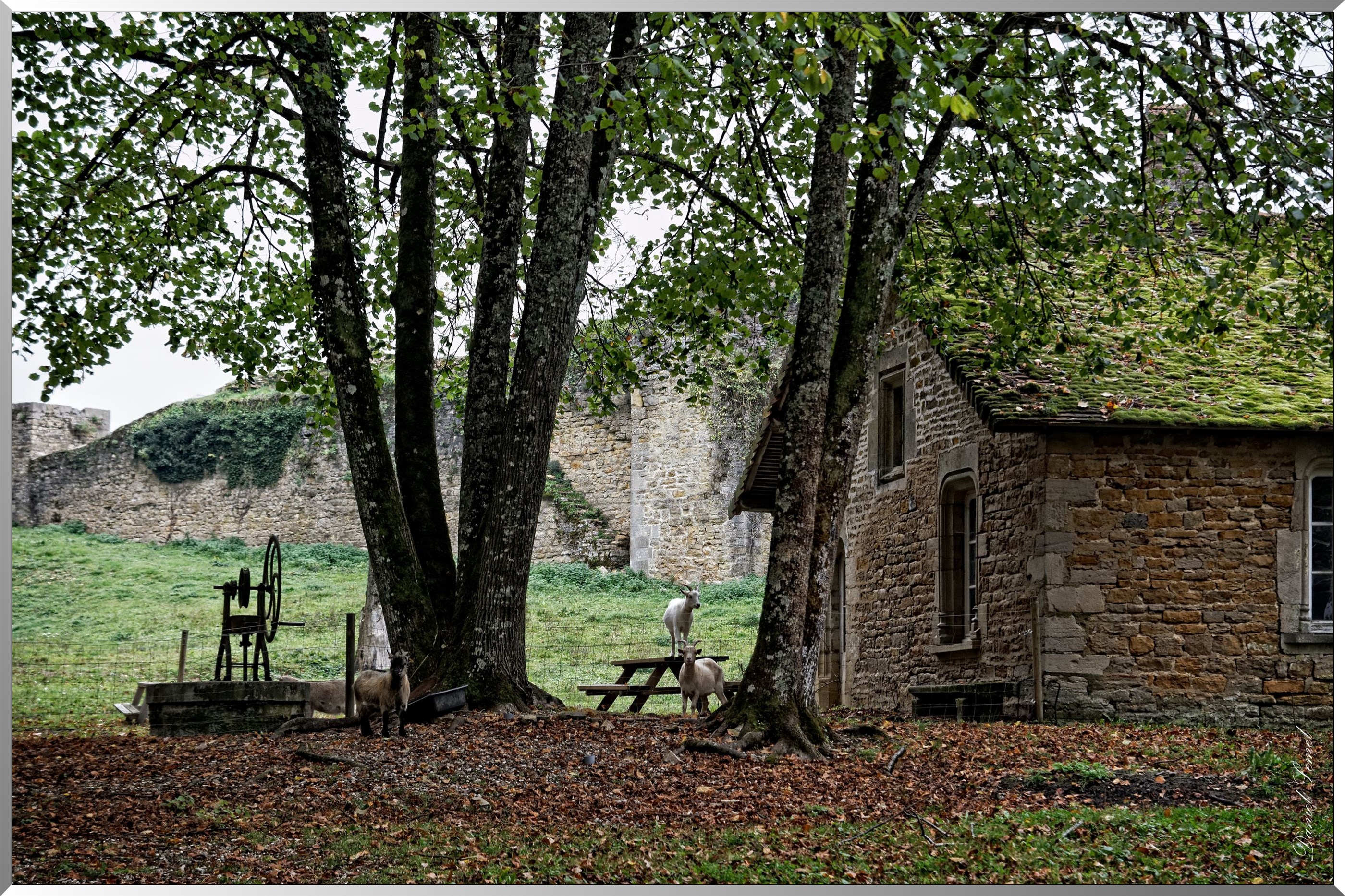 Ancienne forteresse