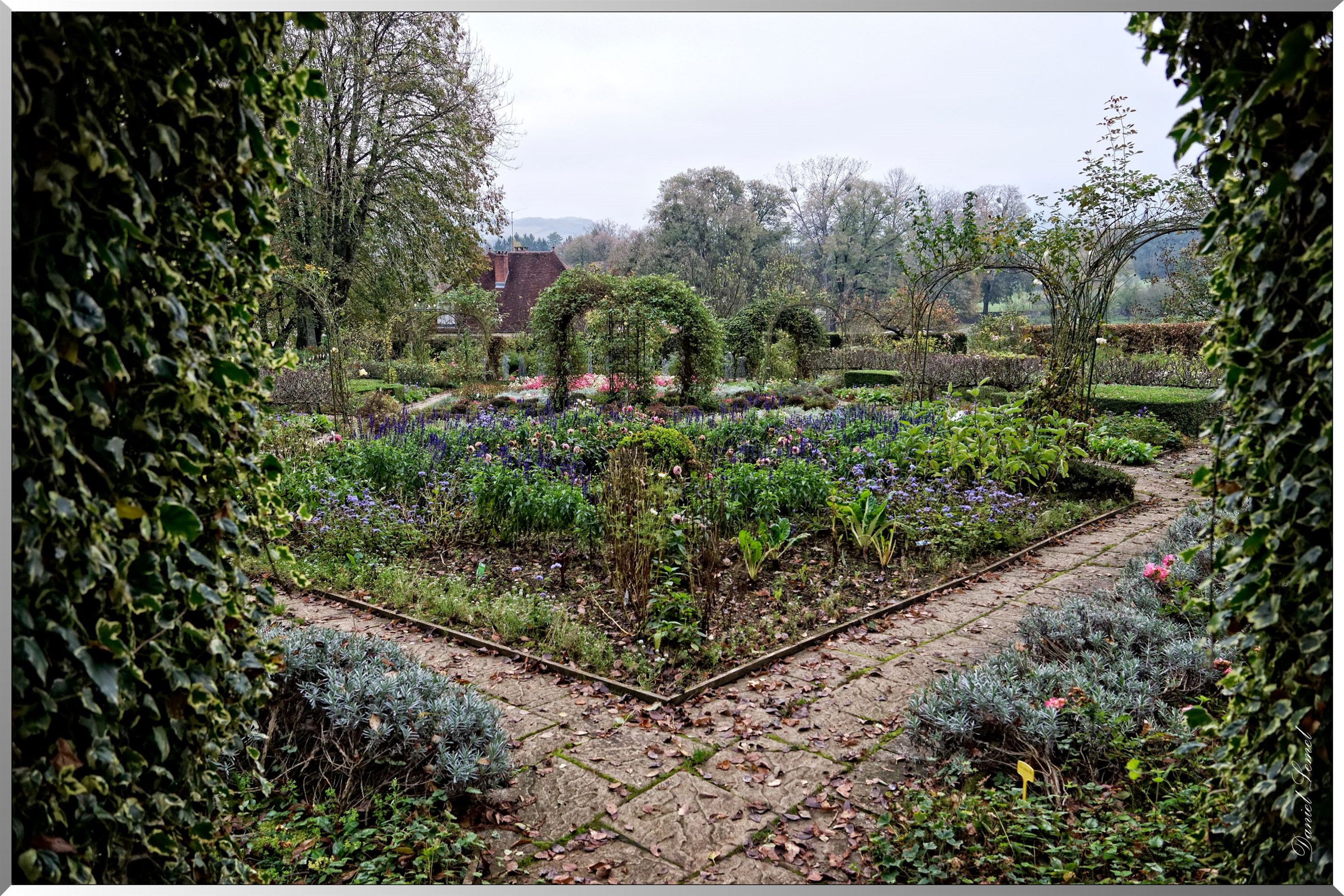 Jardin