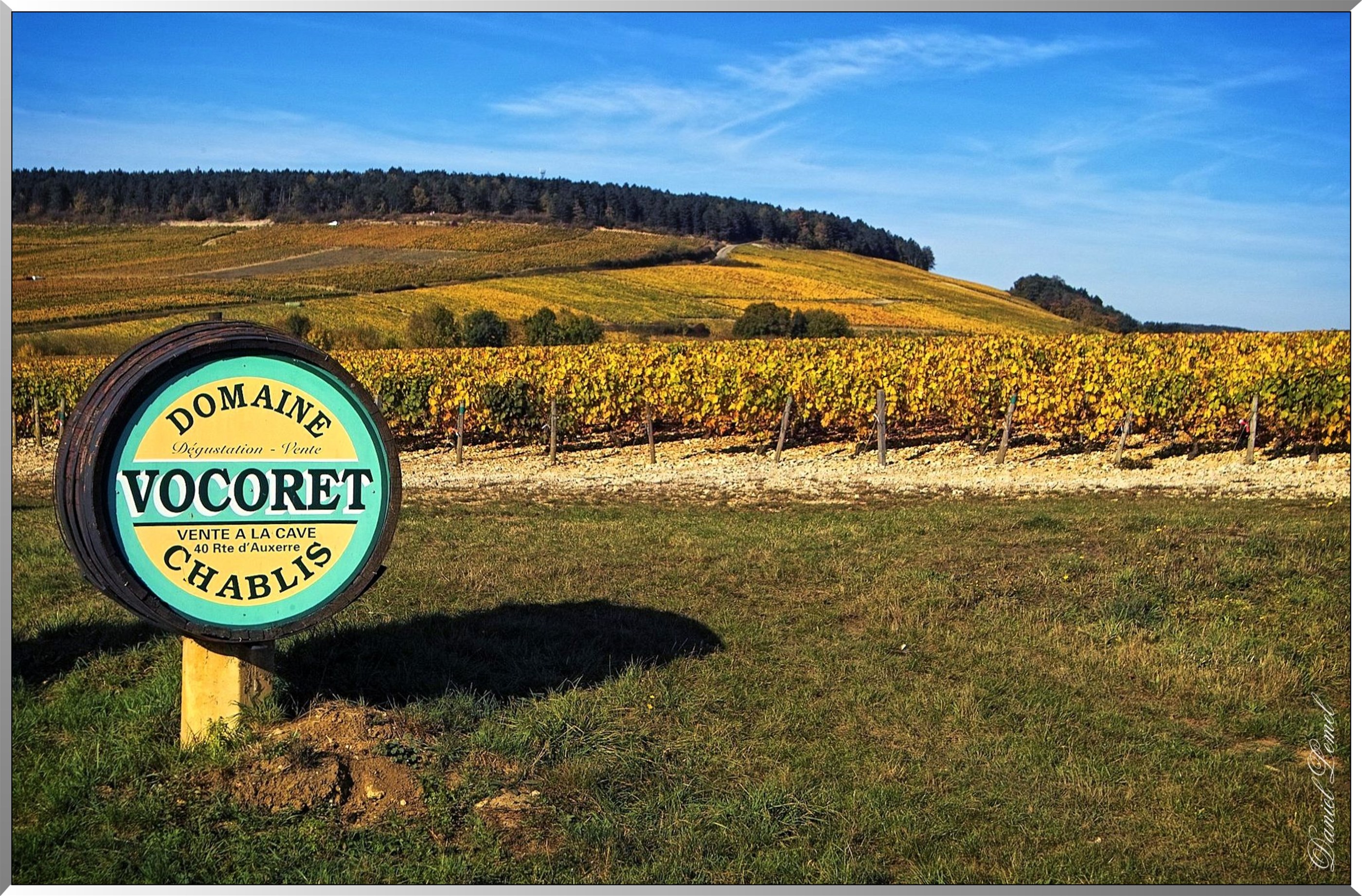 Vignoble de Chablis