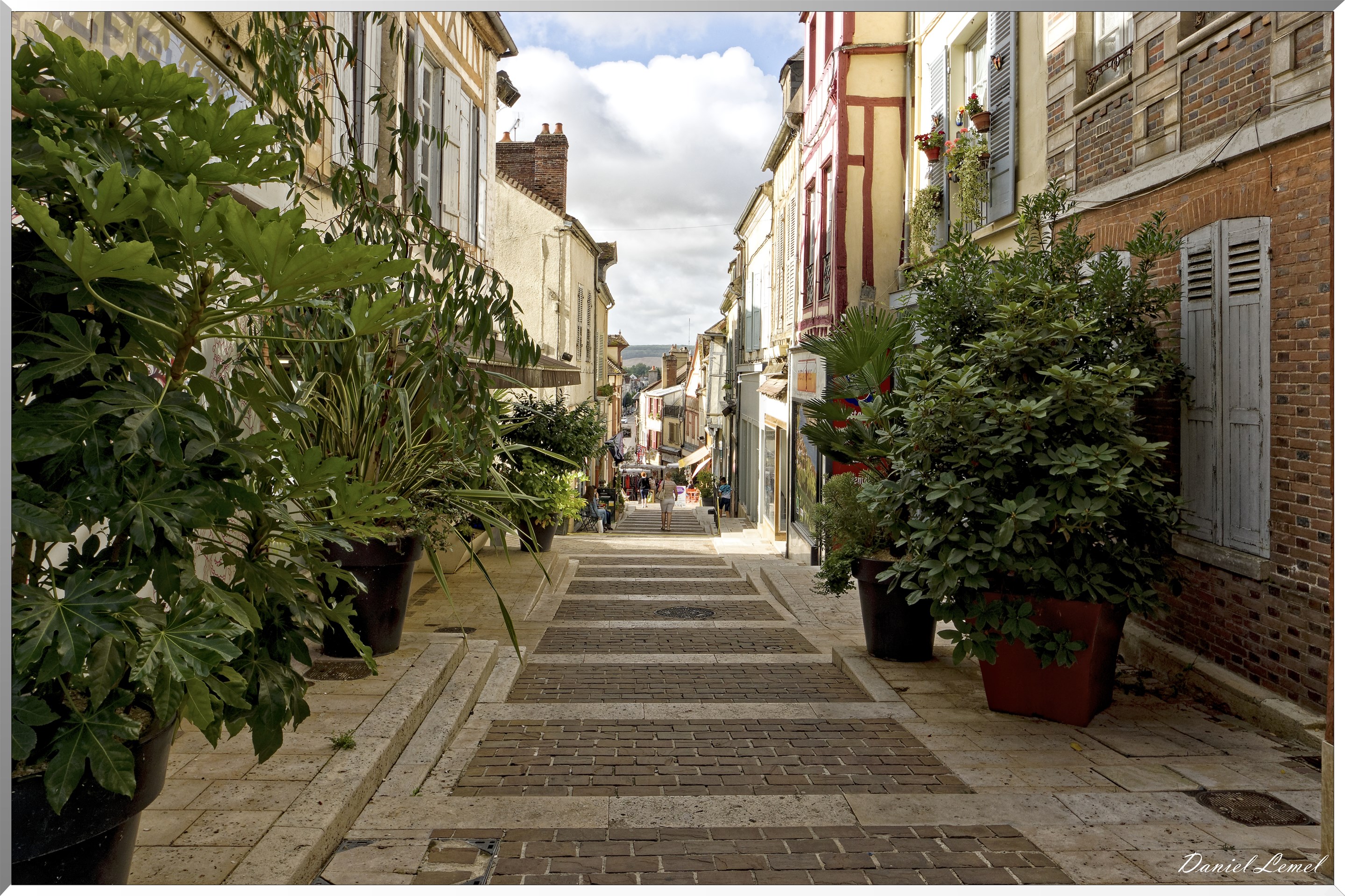 Rue