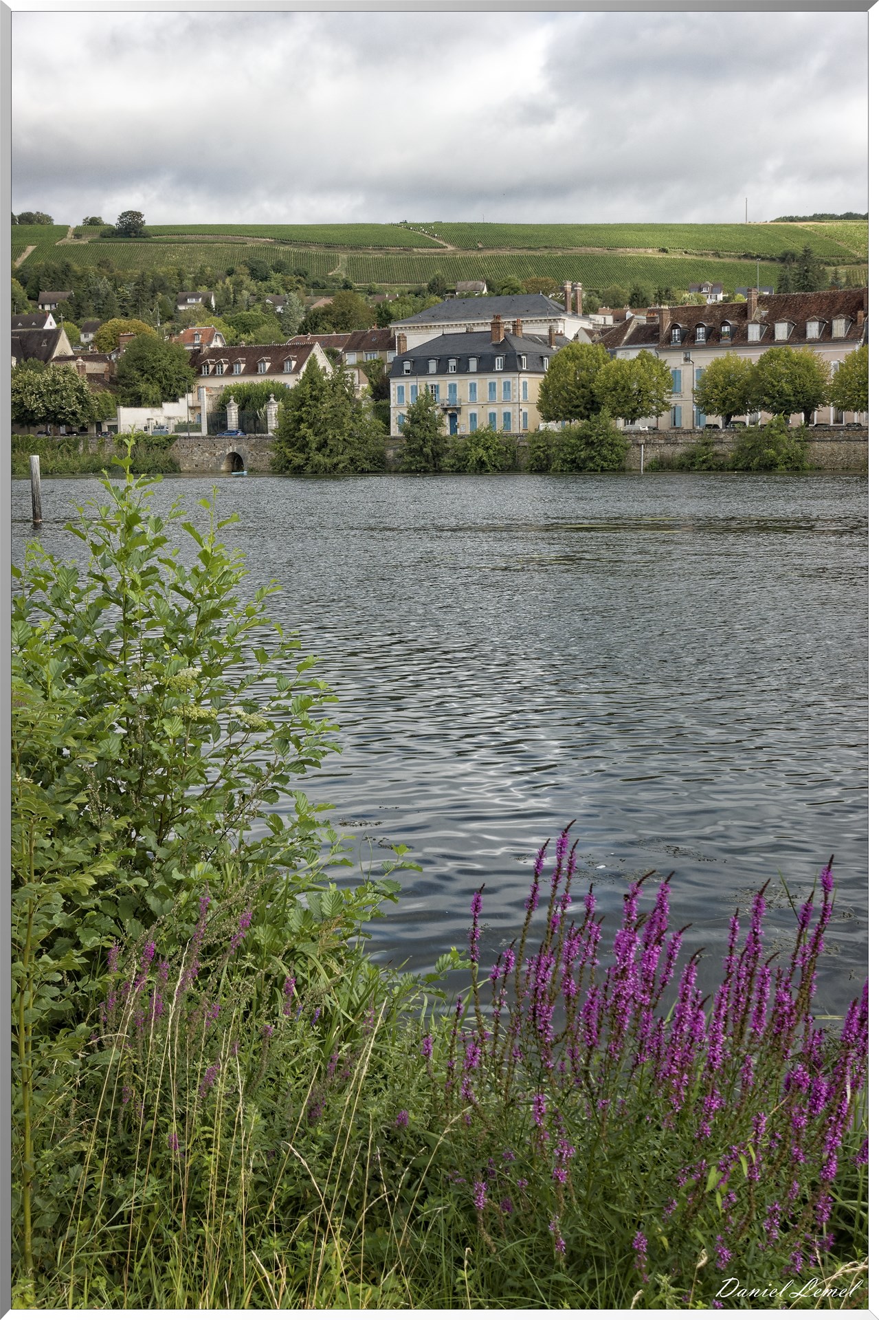 L'Yonne