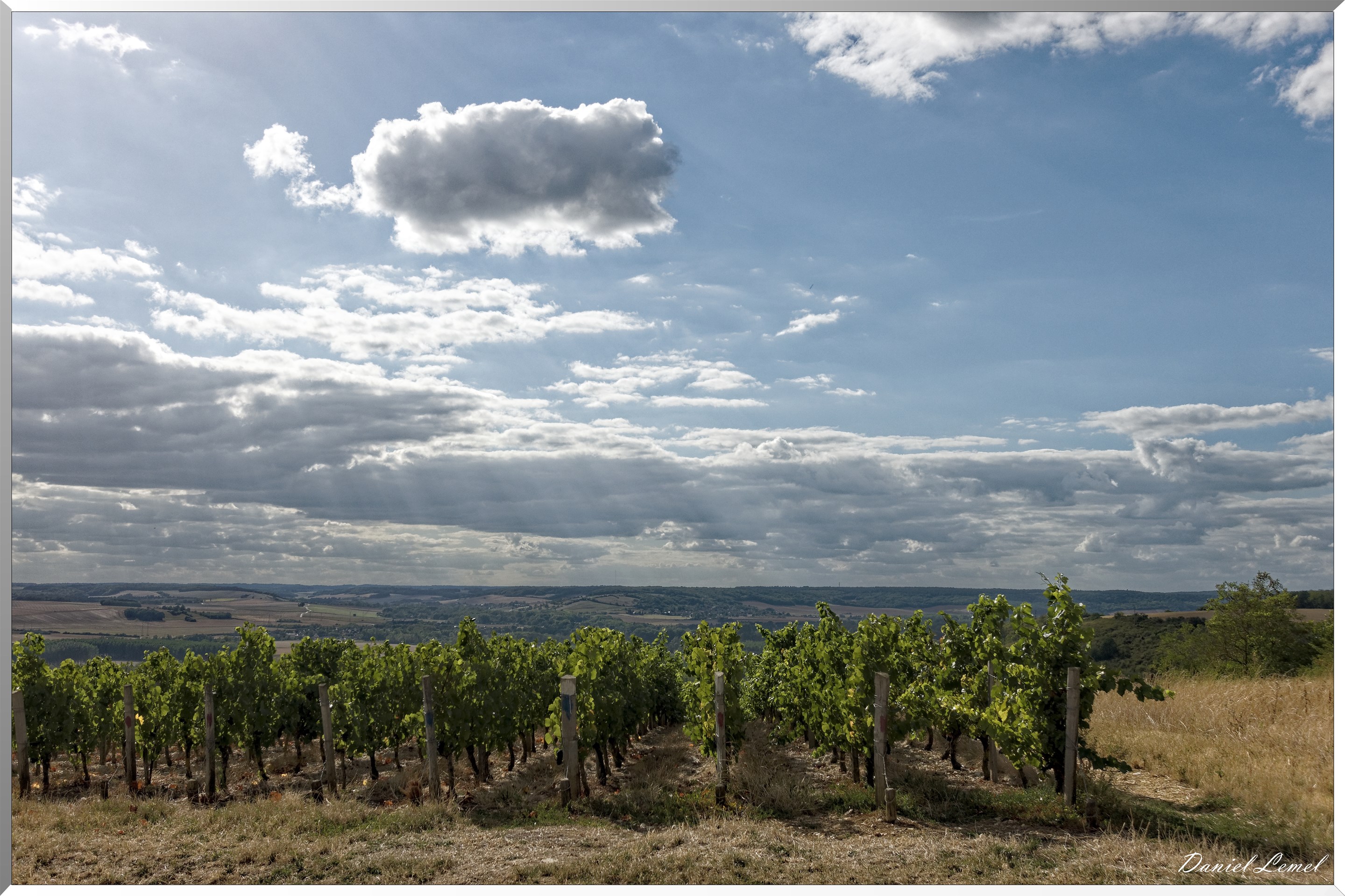 Vignobles