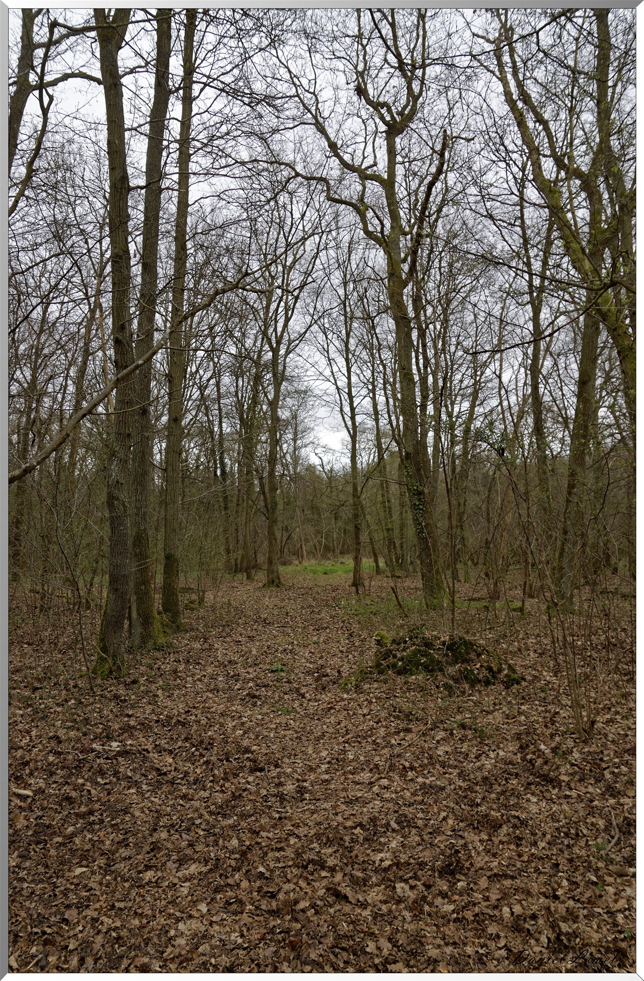 Moisson