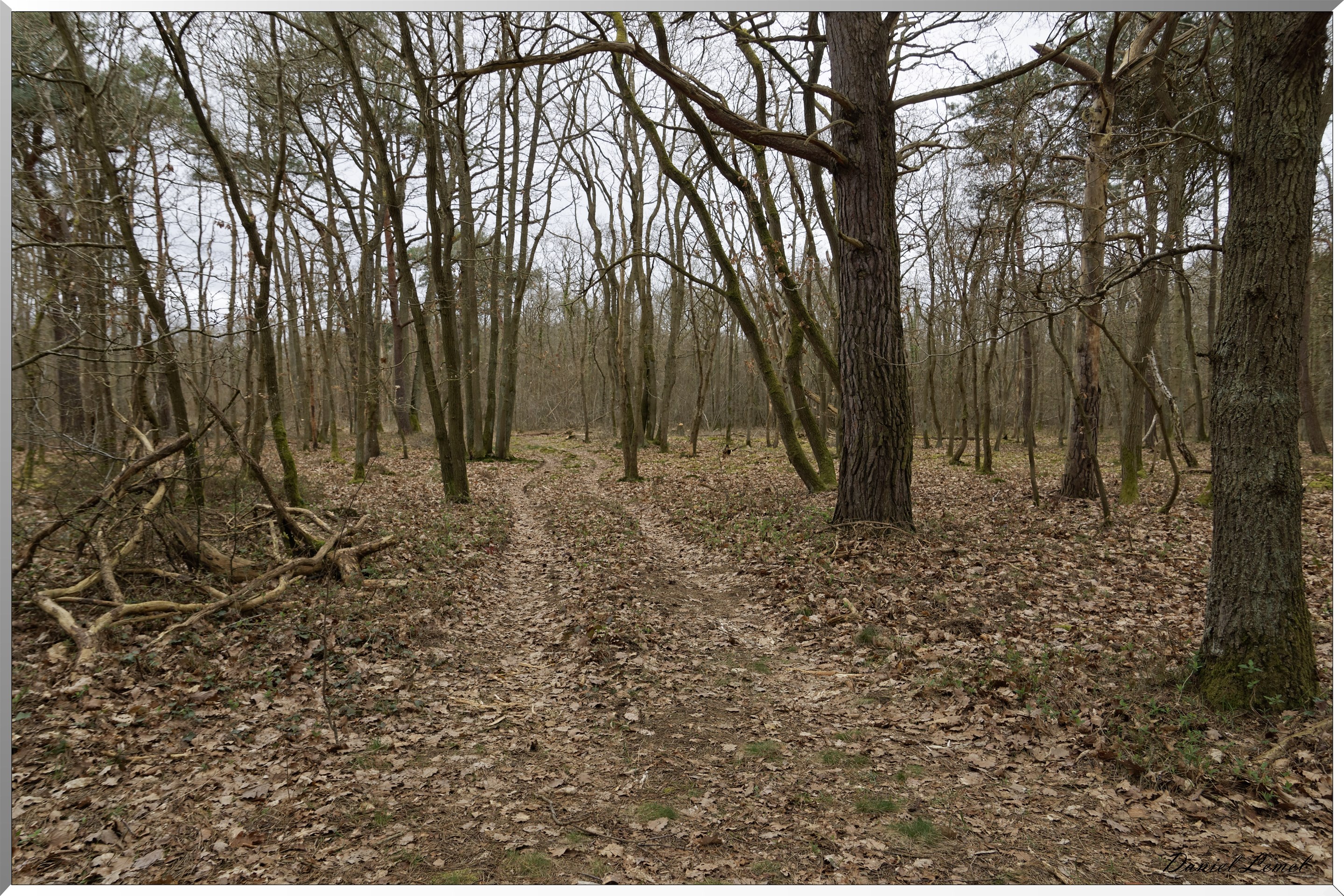Moisson