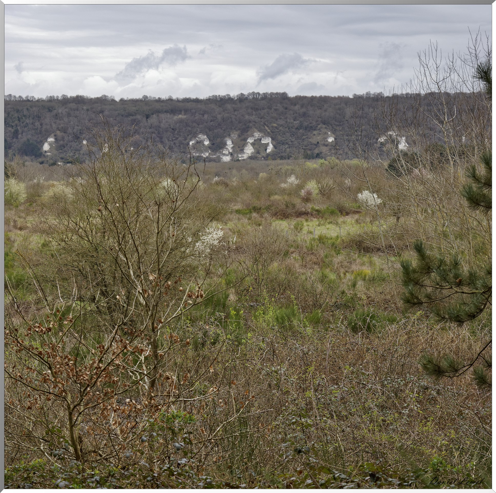 Moisson