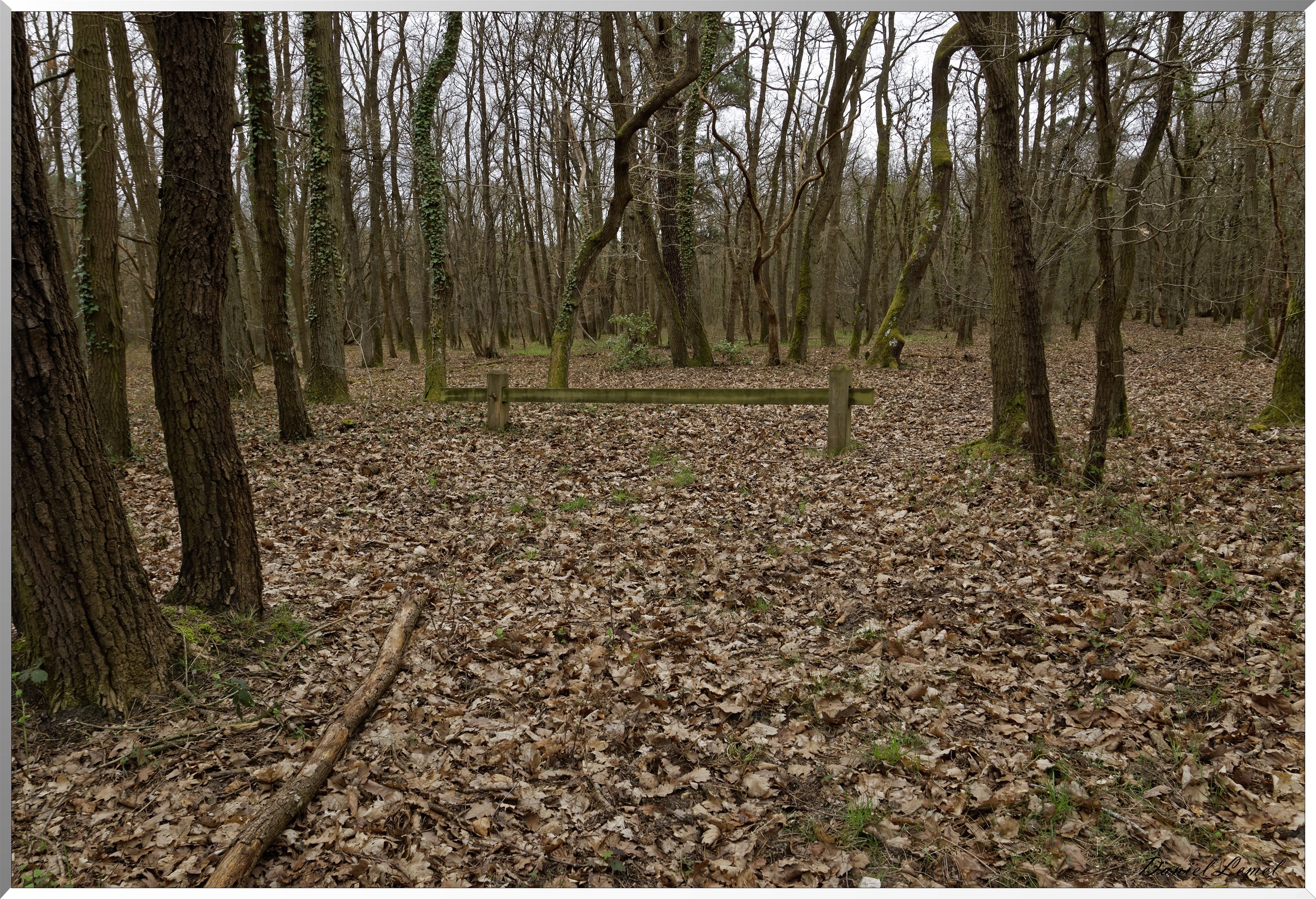 Moisson