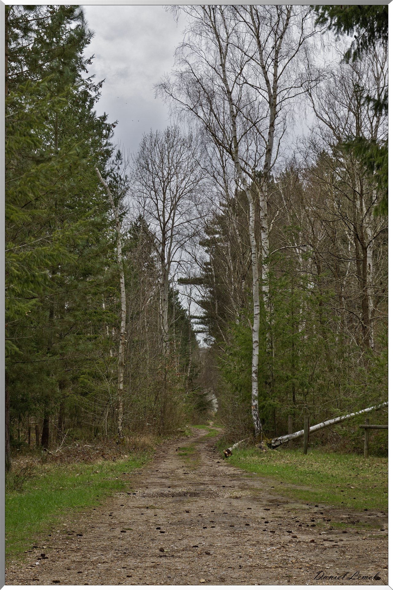 Moisson