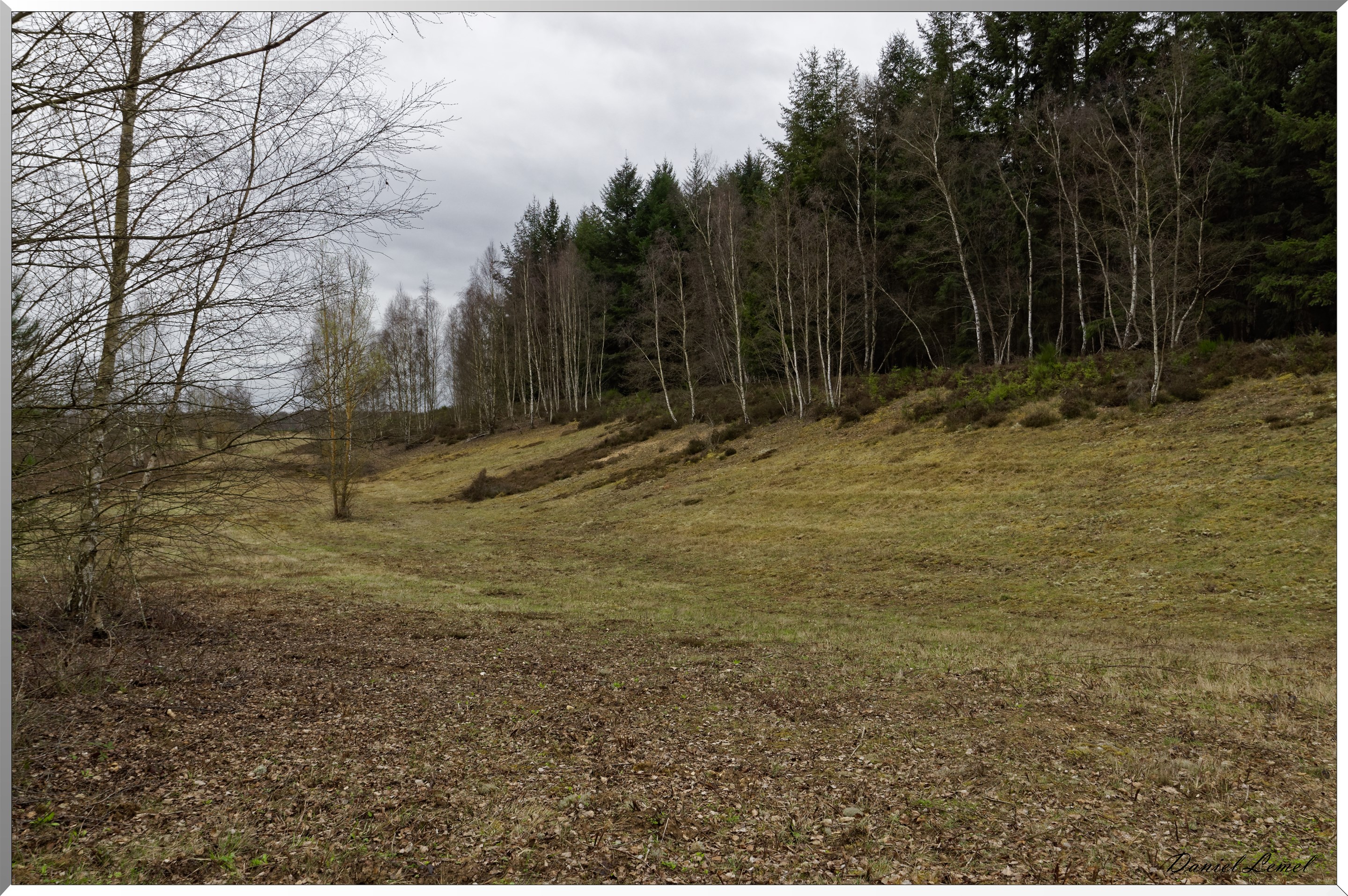 Moisson
