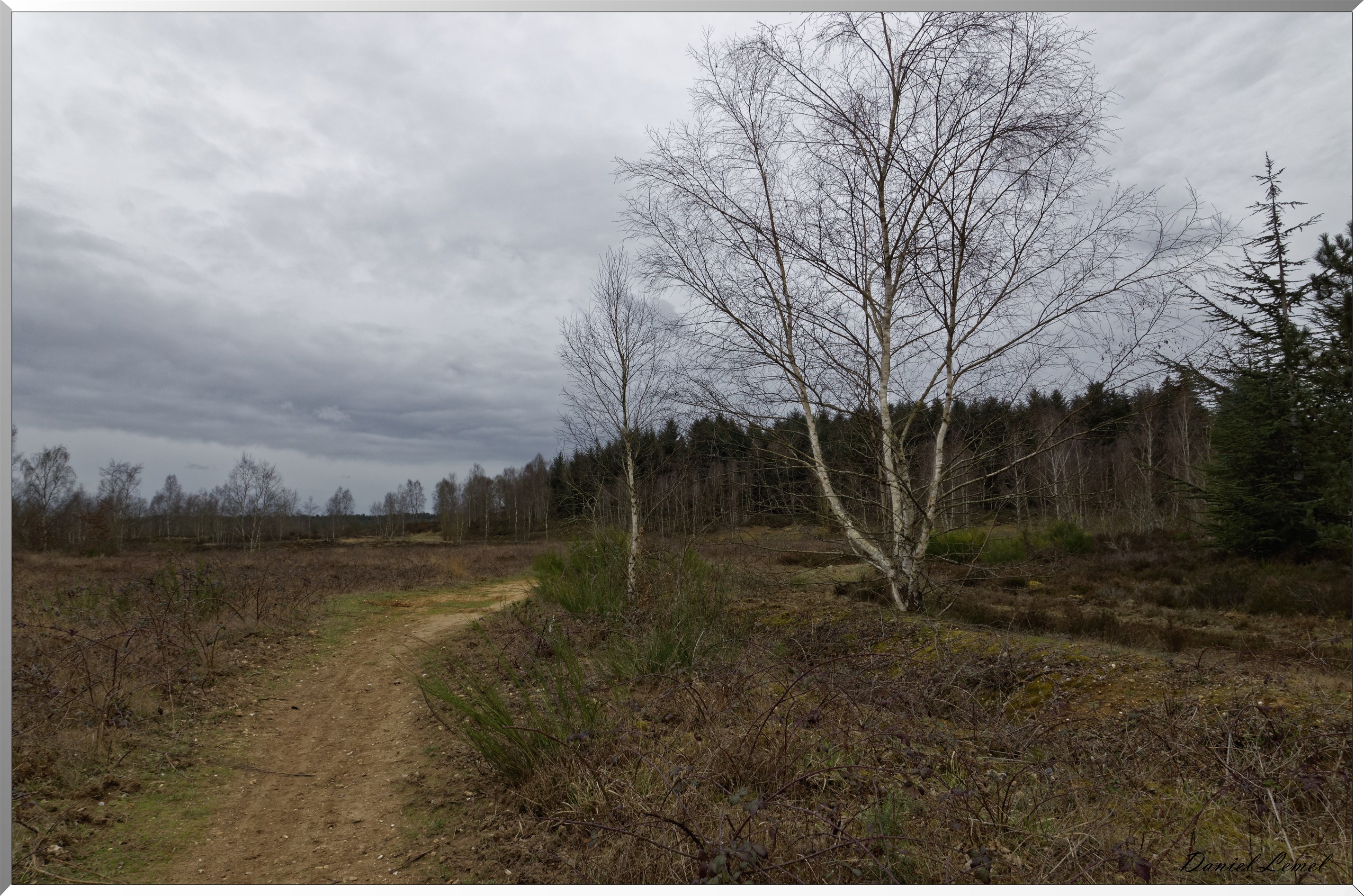 Moisson