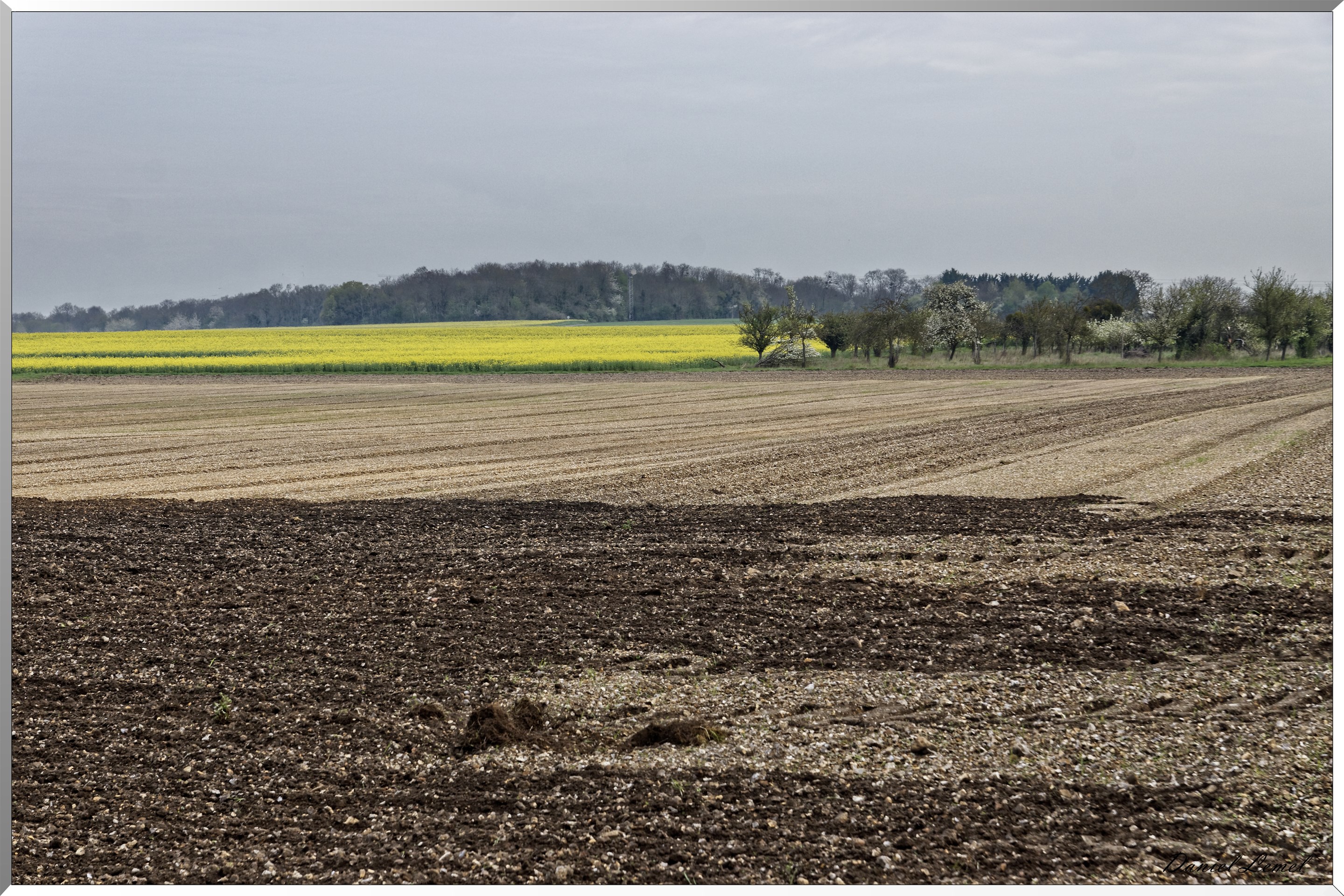 Bennecourt