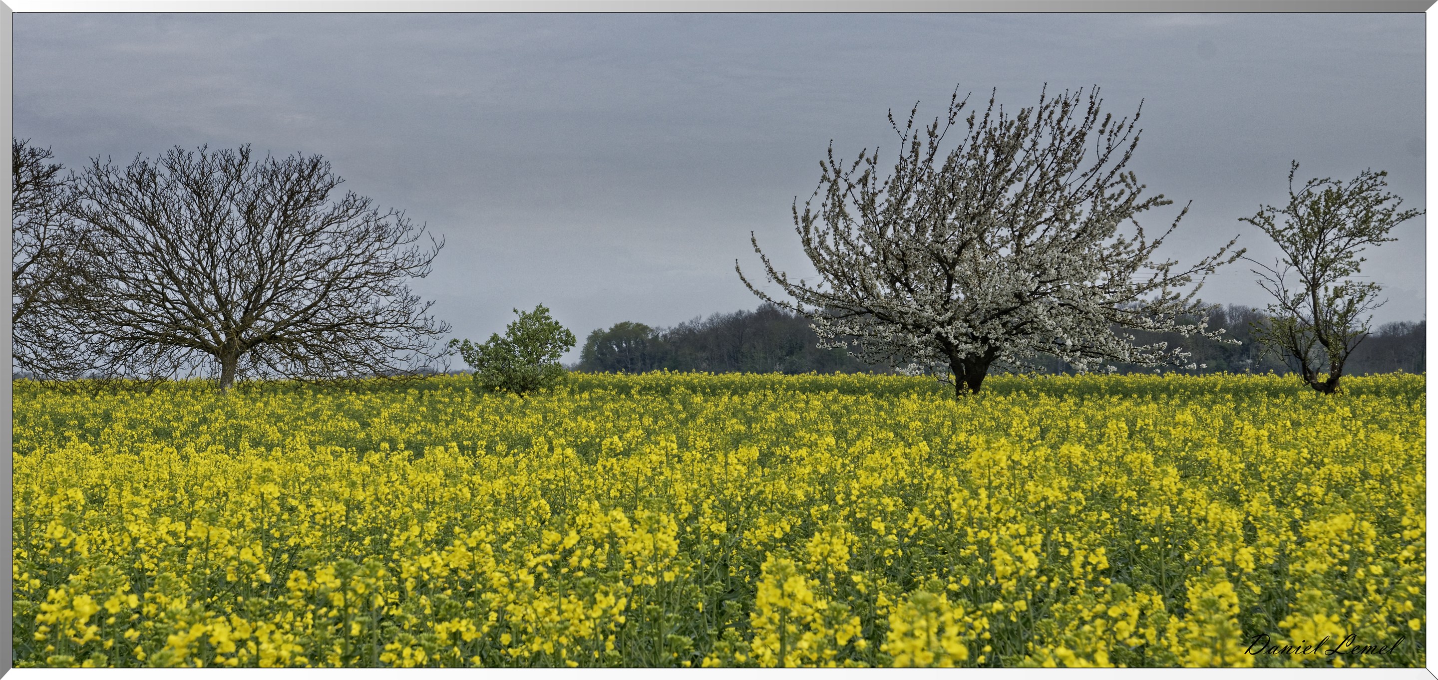Bennecourt
