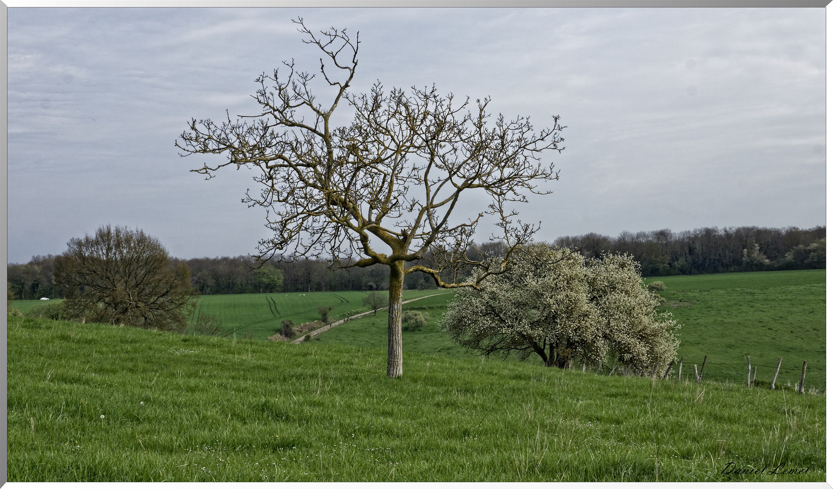 Bennecourt