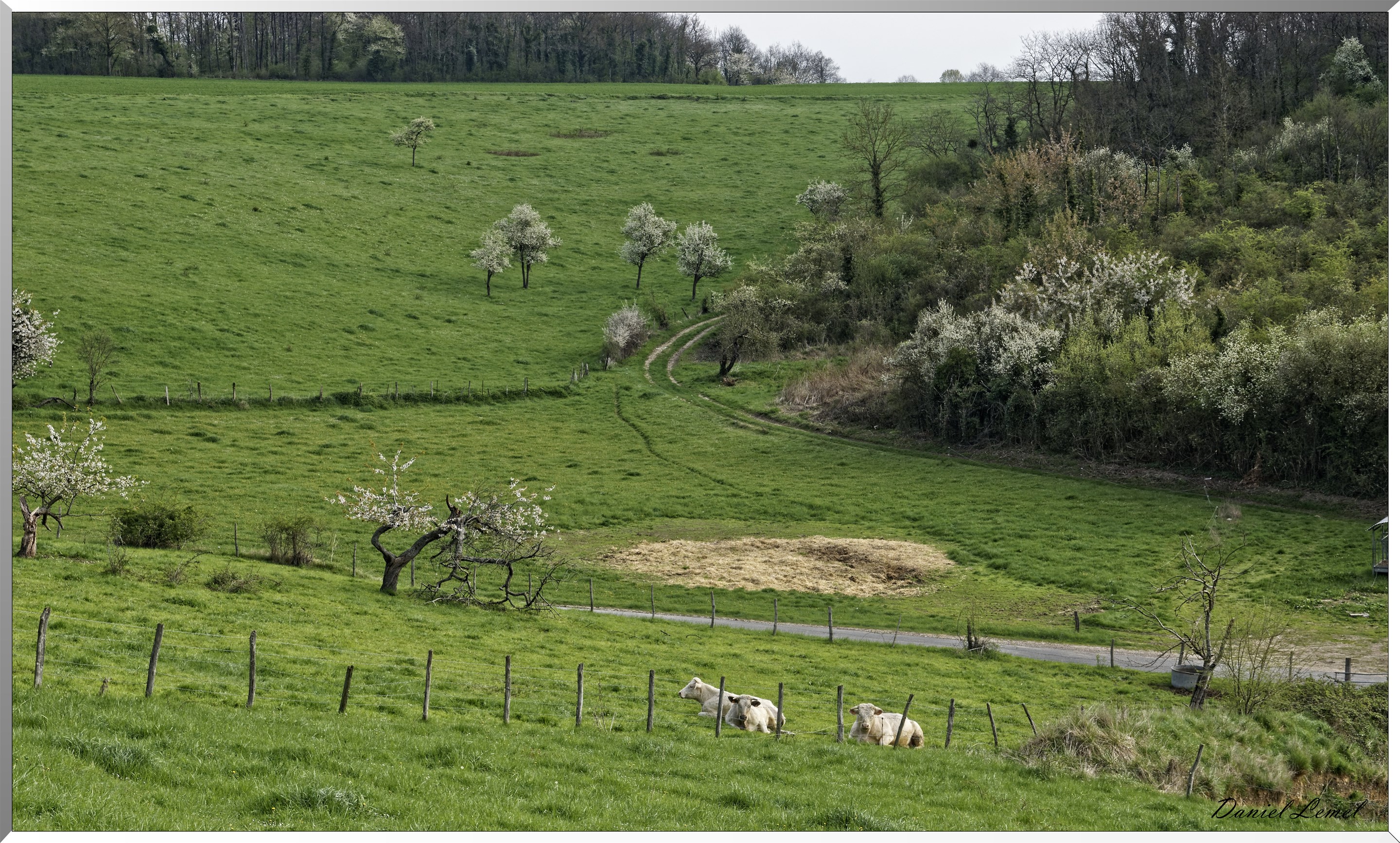Bennecourt