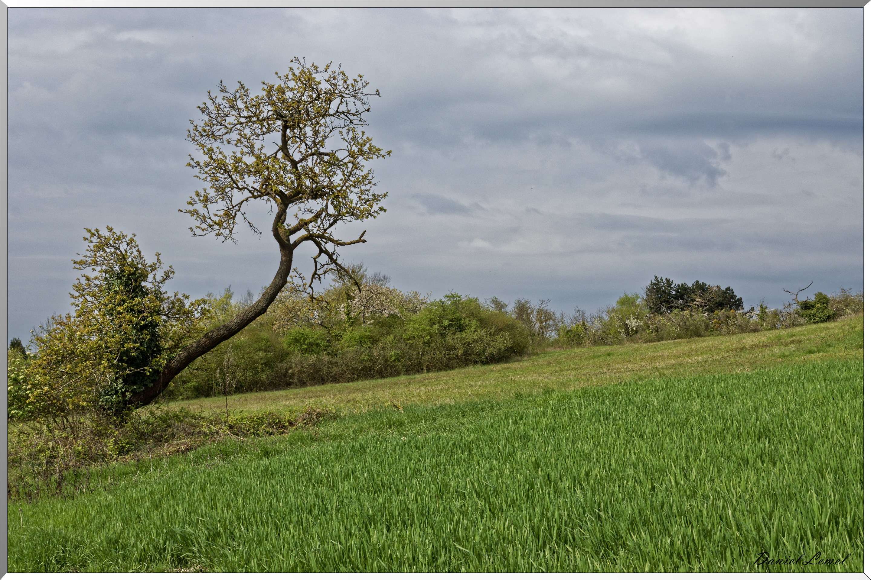 Bennecourt