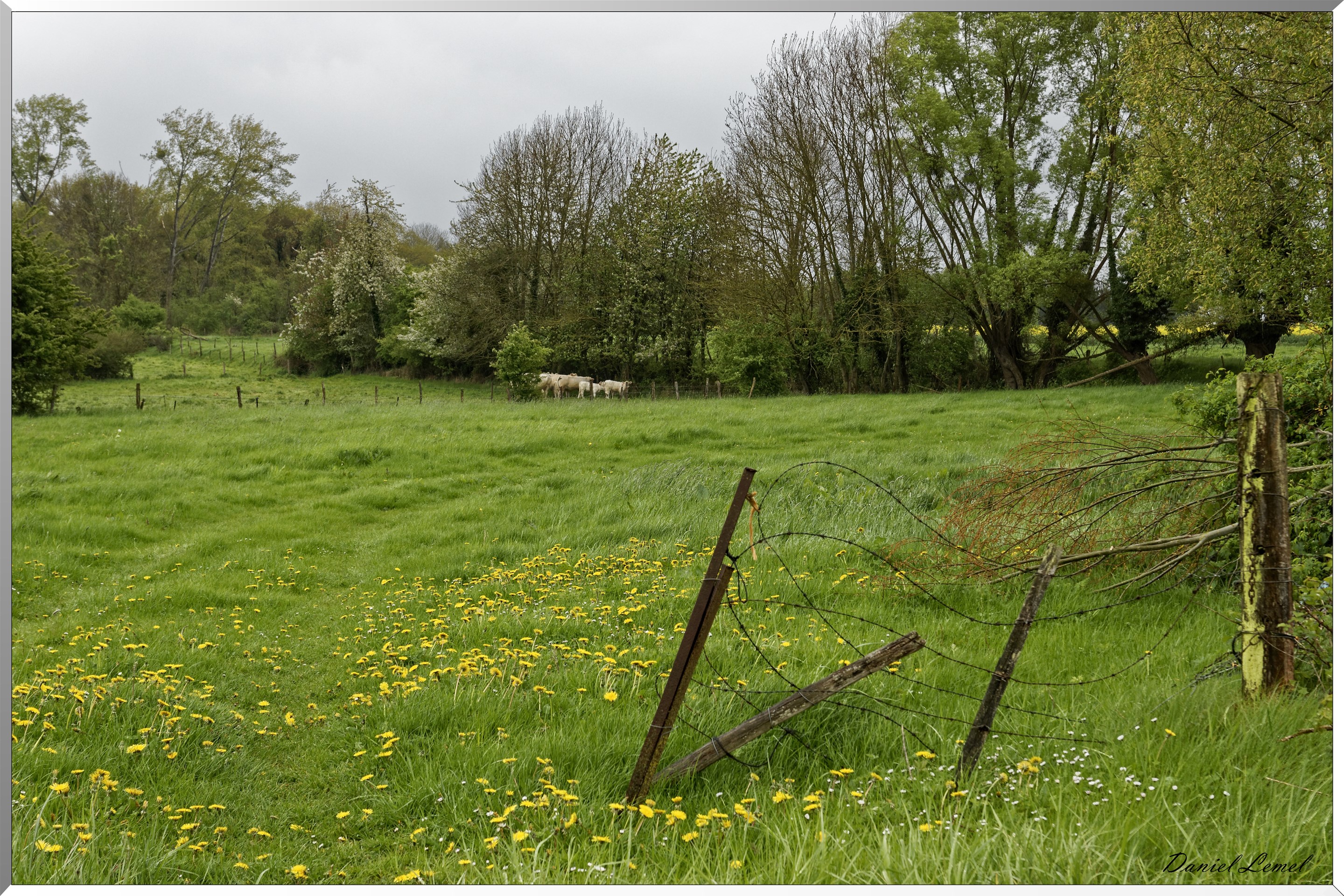 Fontenay en Vexin