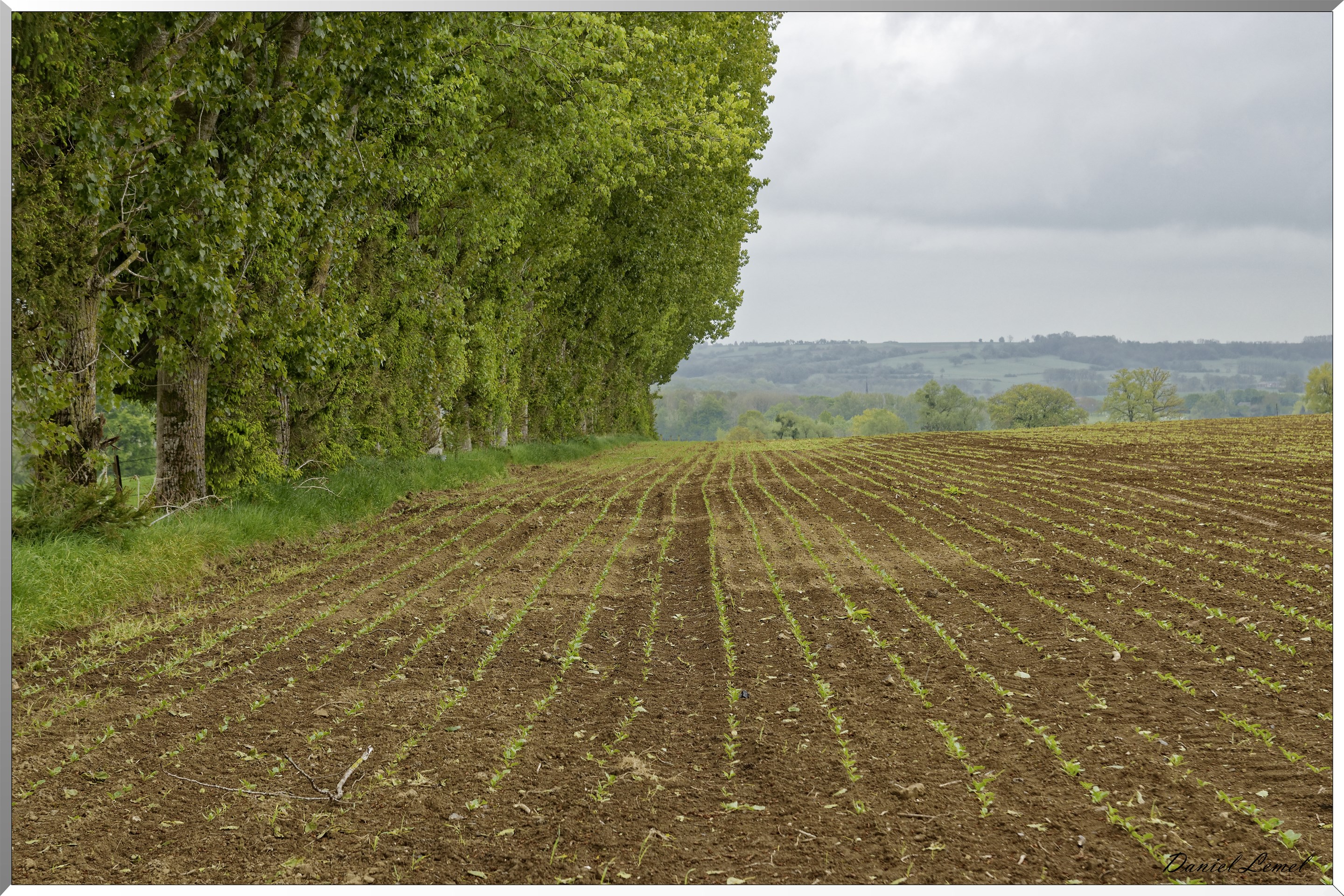 Le Val de Serre