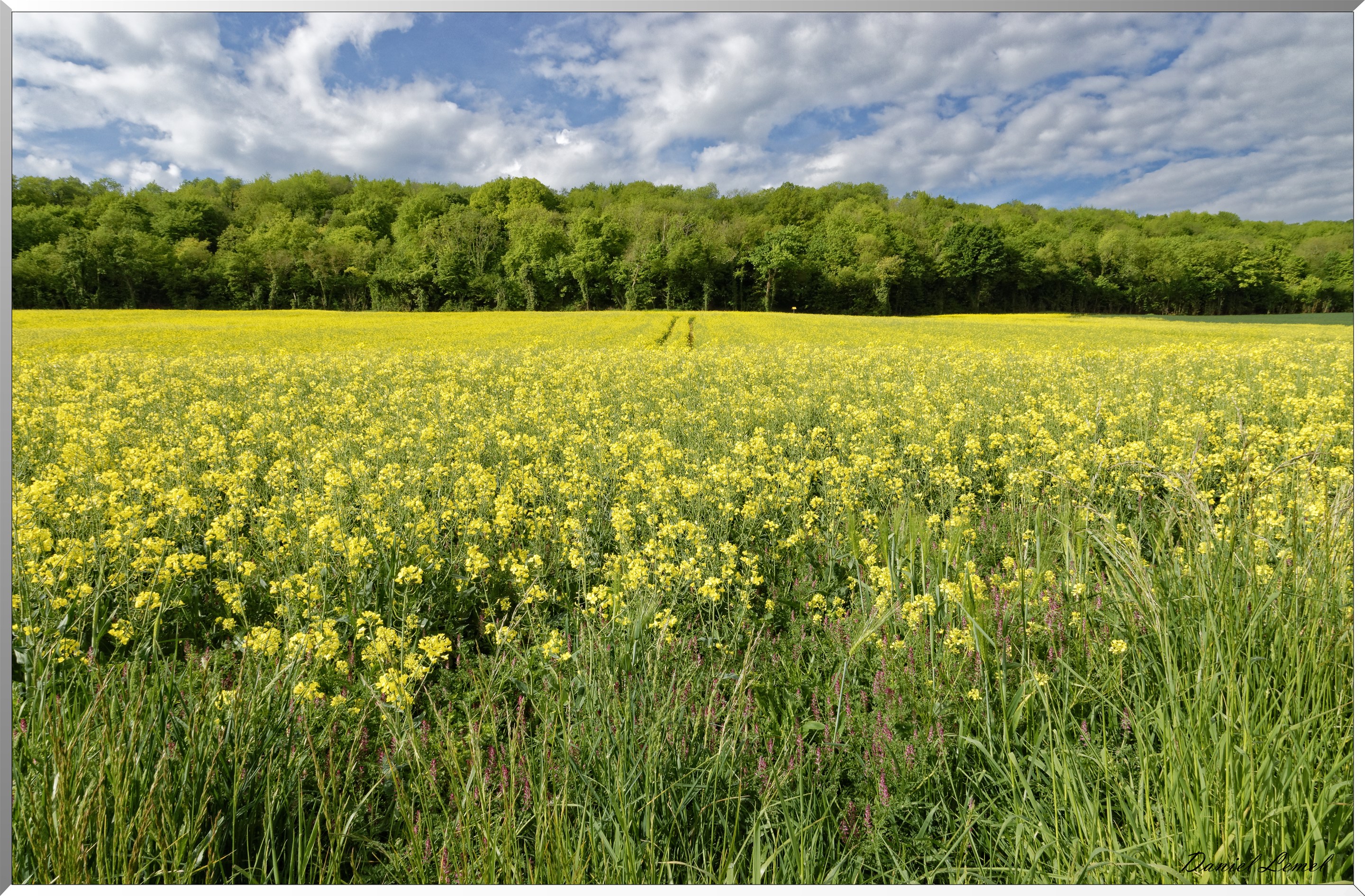 Croisy-sur-Eure
