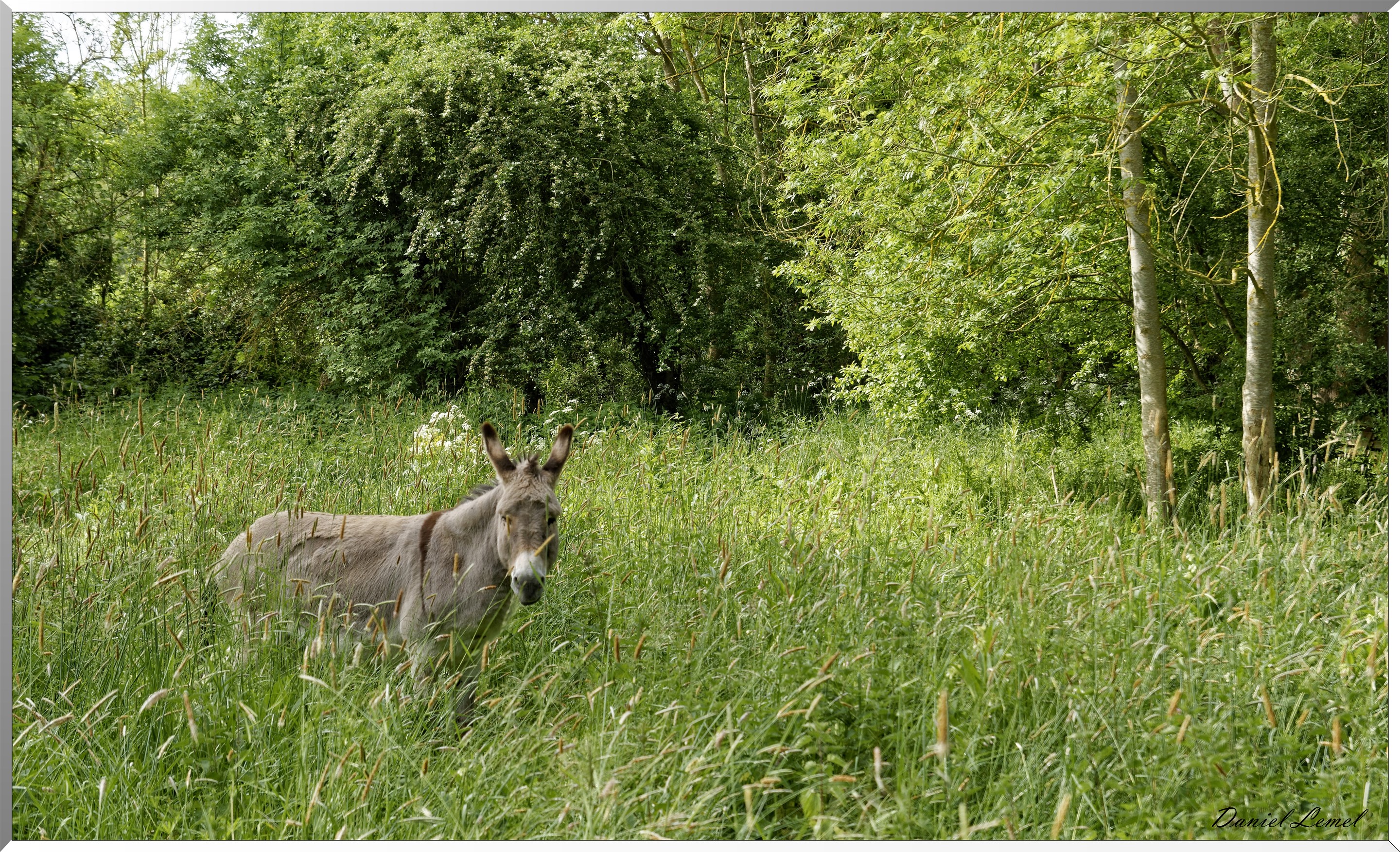 Croisy-sur-Eure