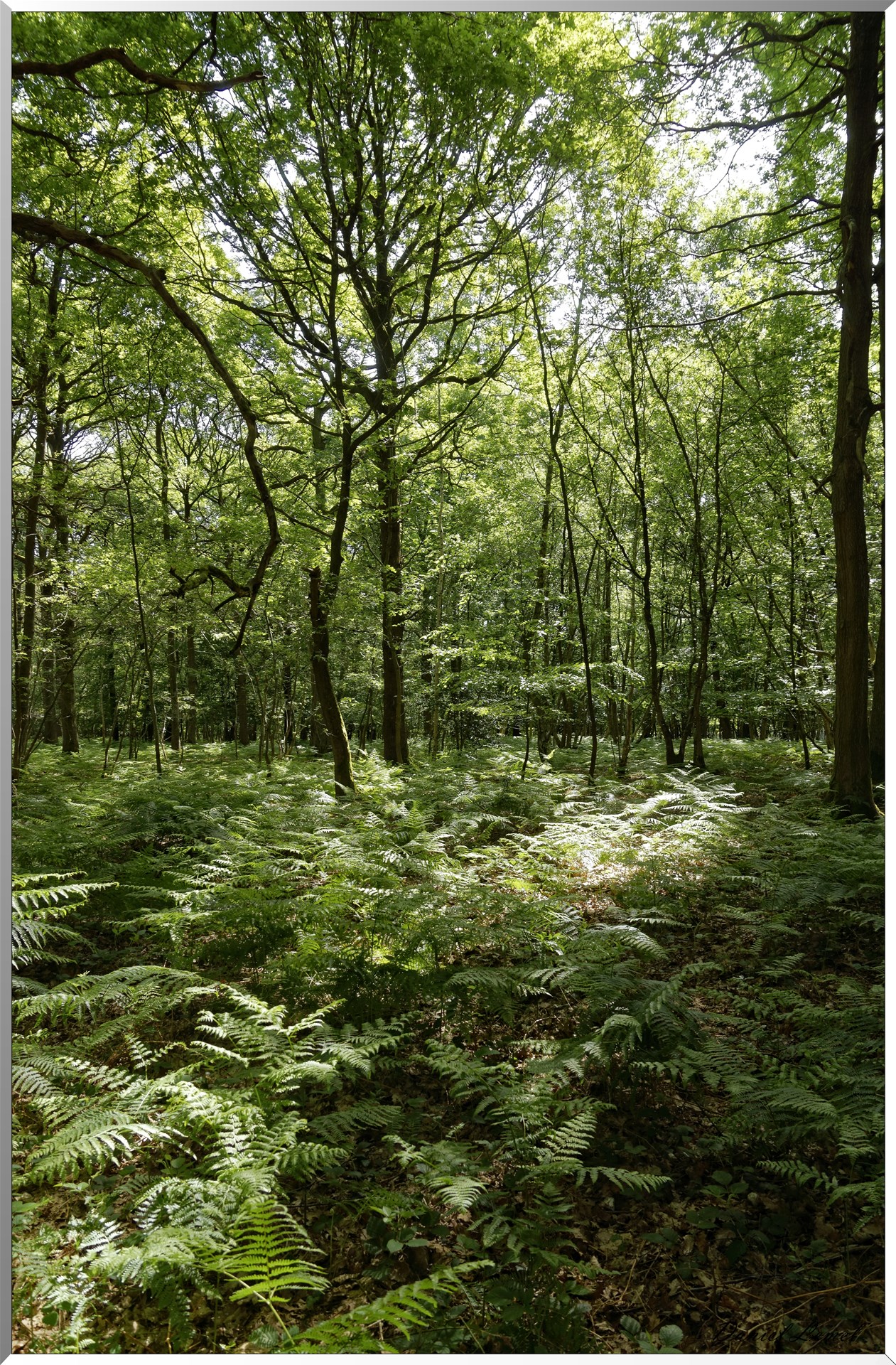 Mézières en Vexin