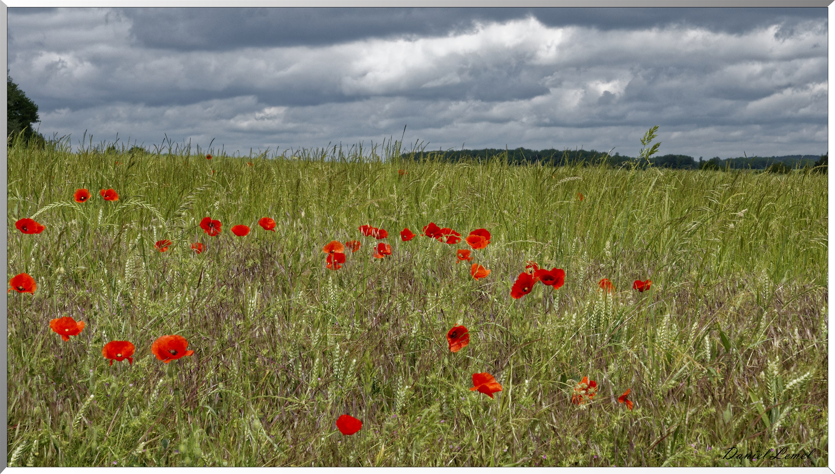 Jouy-sur-Eure