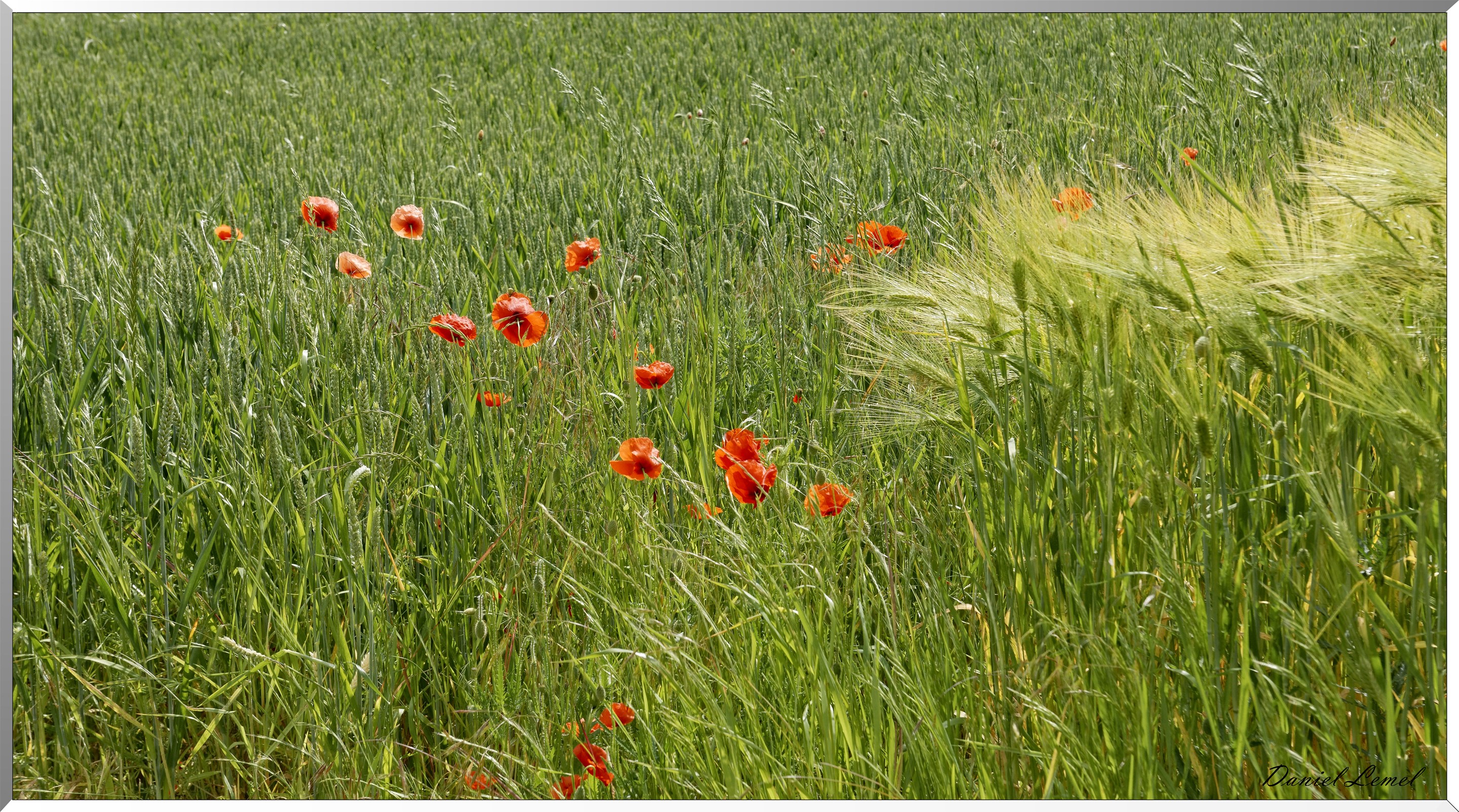 Jouy-sur-Eure