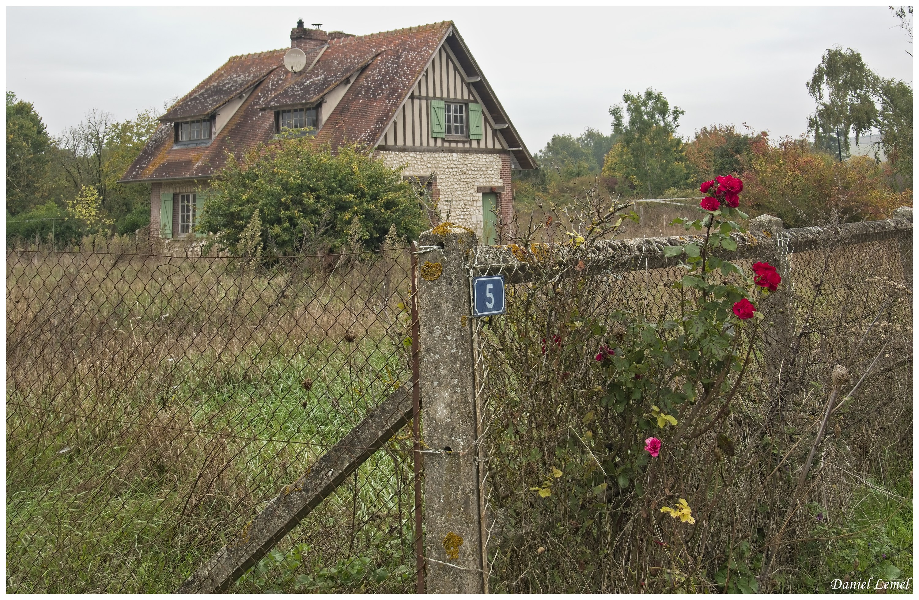  DSC8216W
