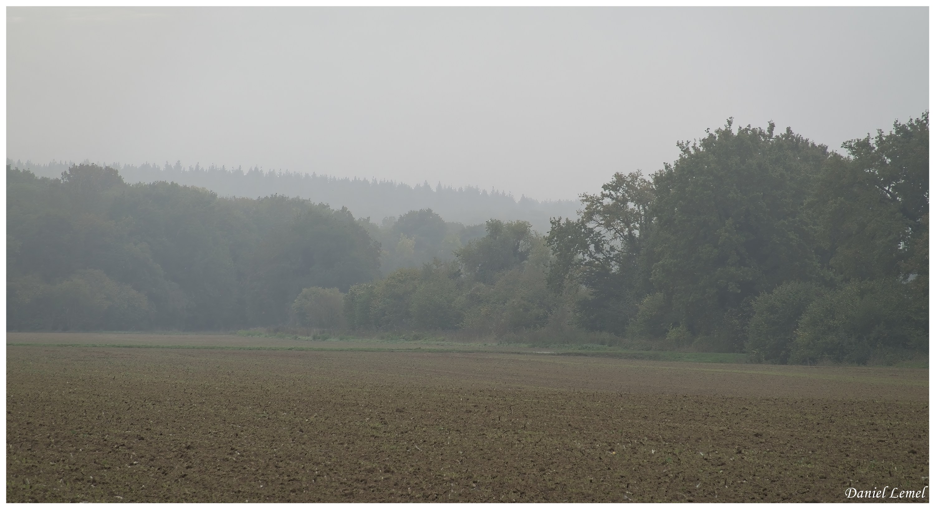  DSC8292W