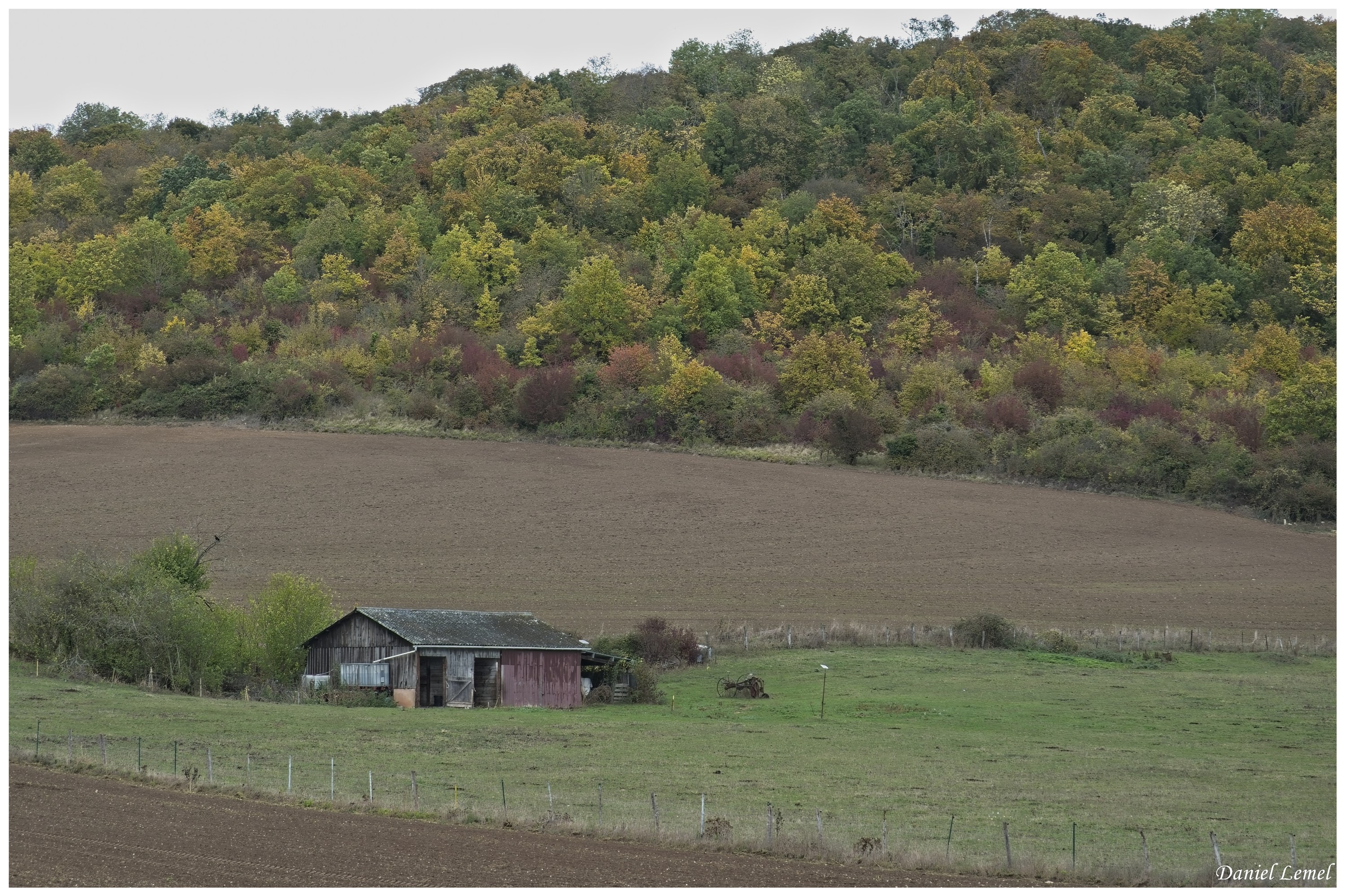  DSC8599W