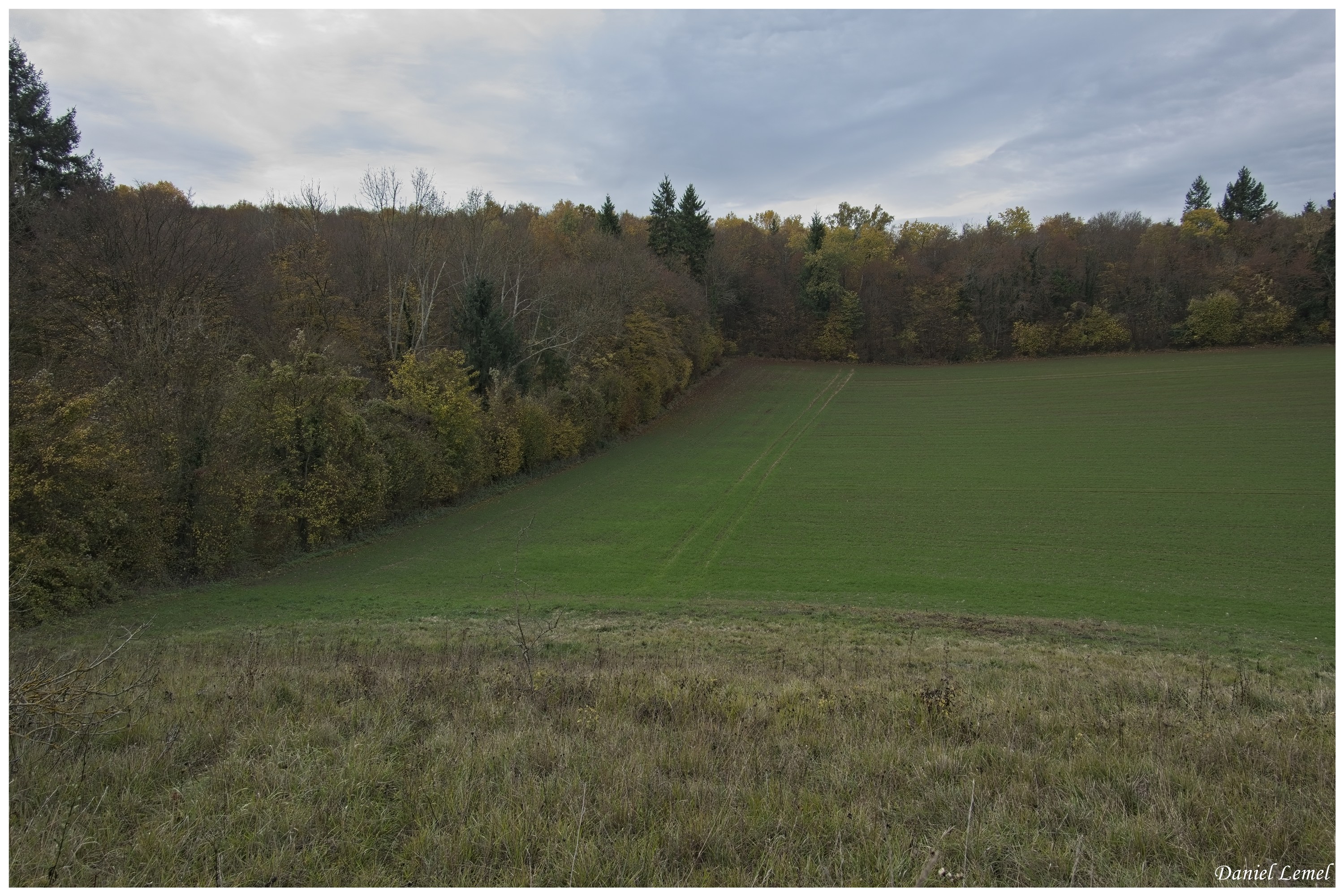  DSC8932W