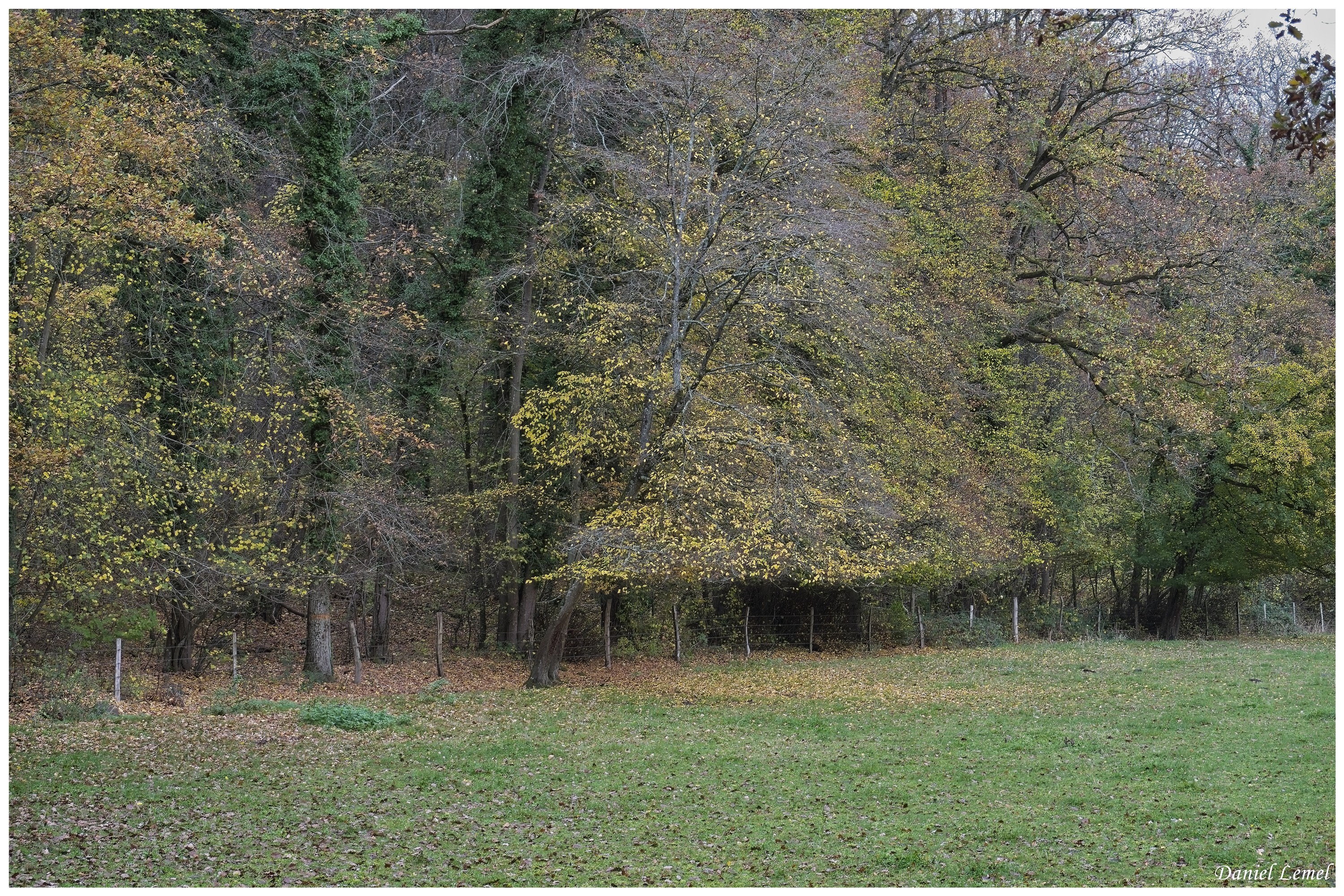  DSC8952W
