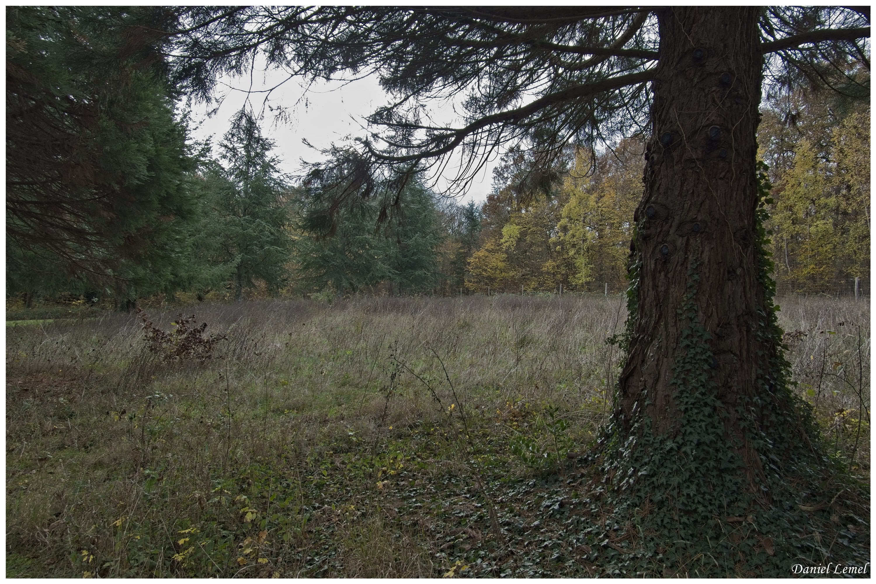  DSC8974W