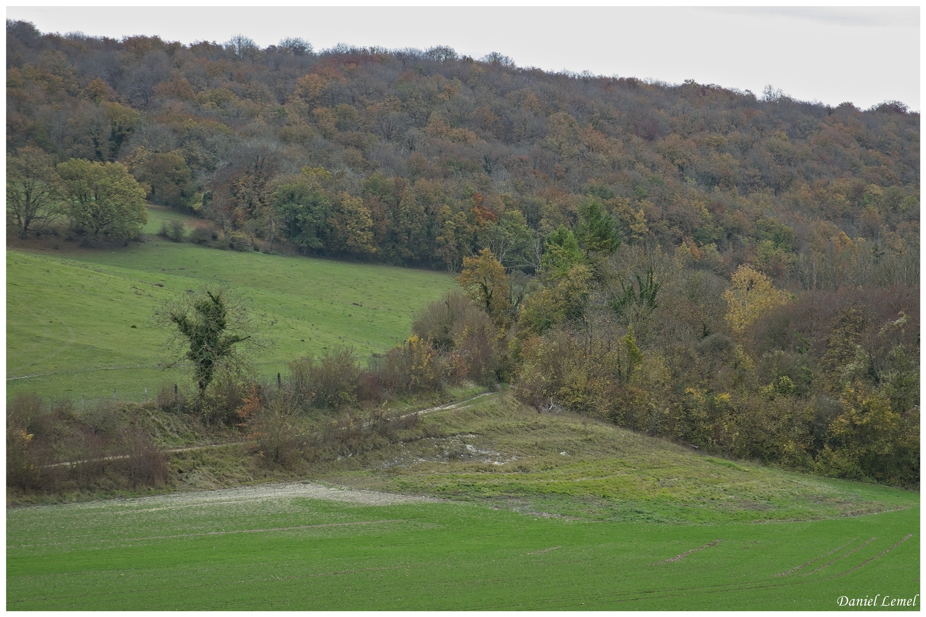  DSC9001W
