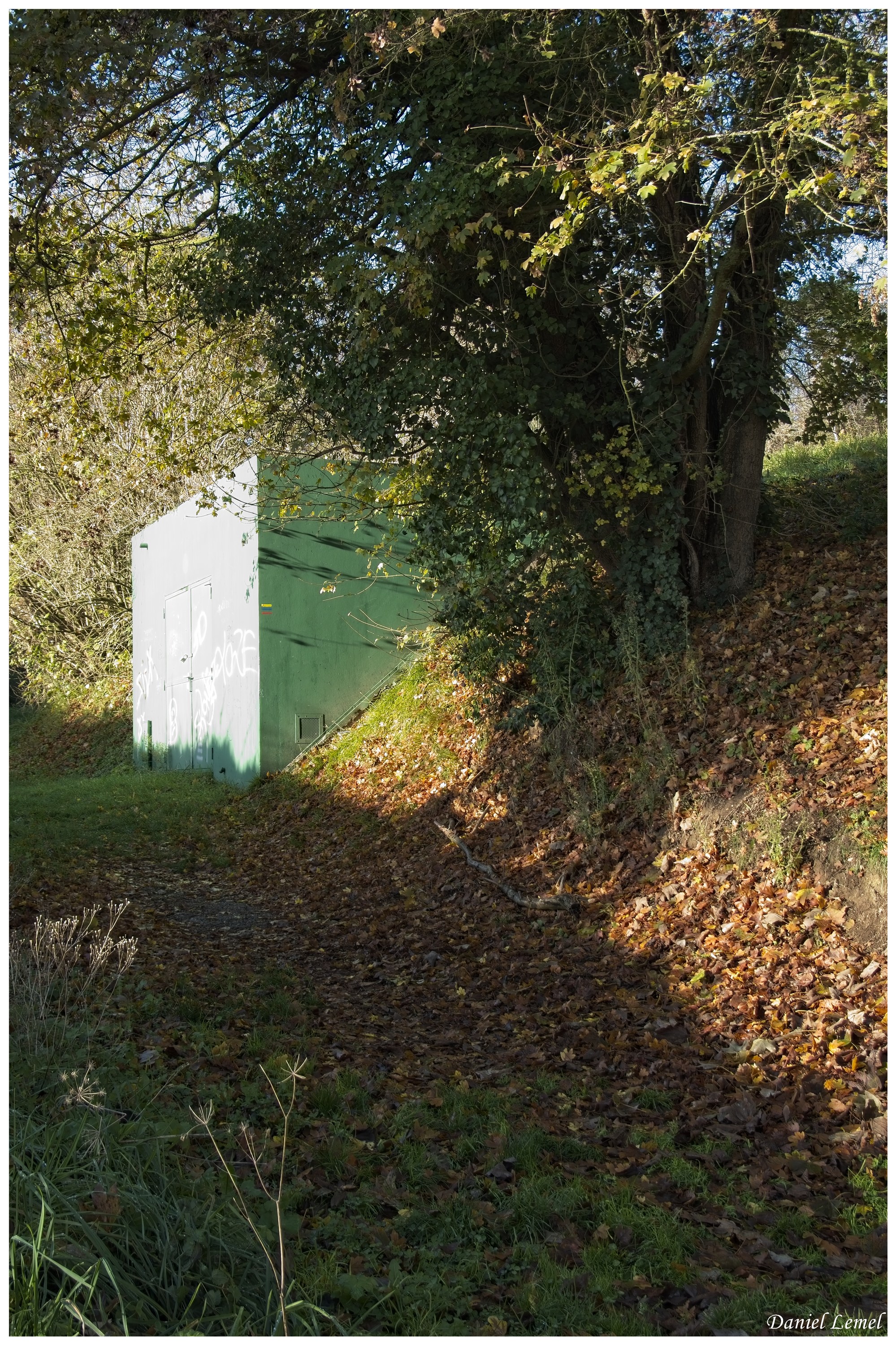  DSC9318W