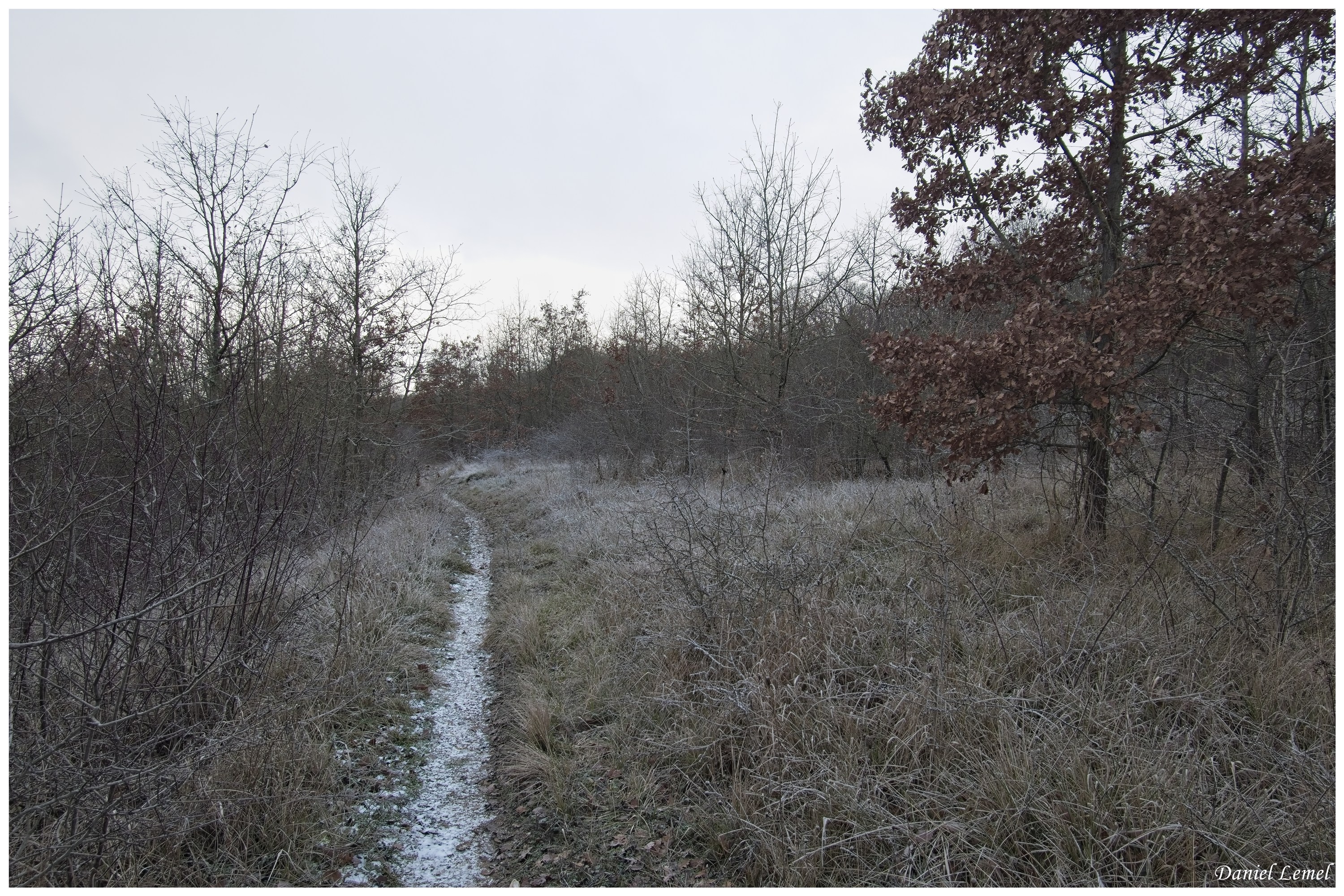  DSC0519W