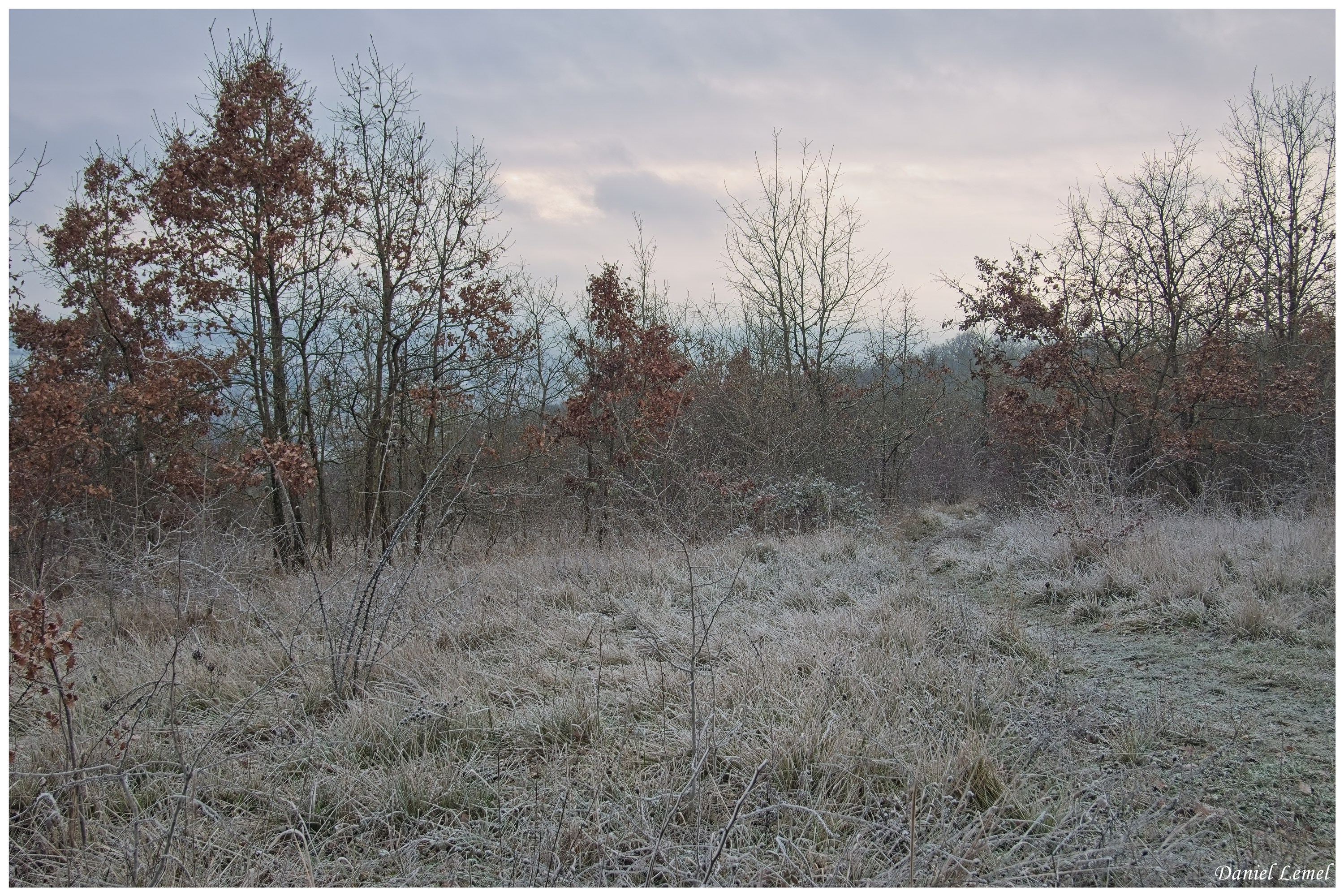  DSC0520W