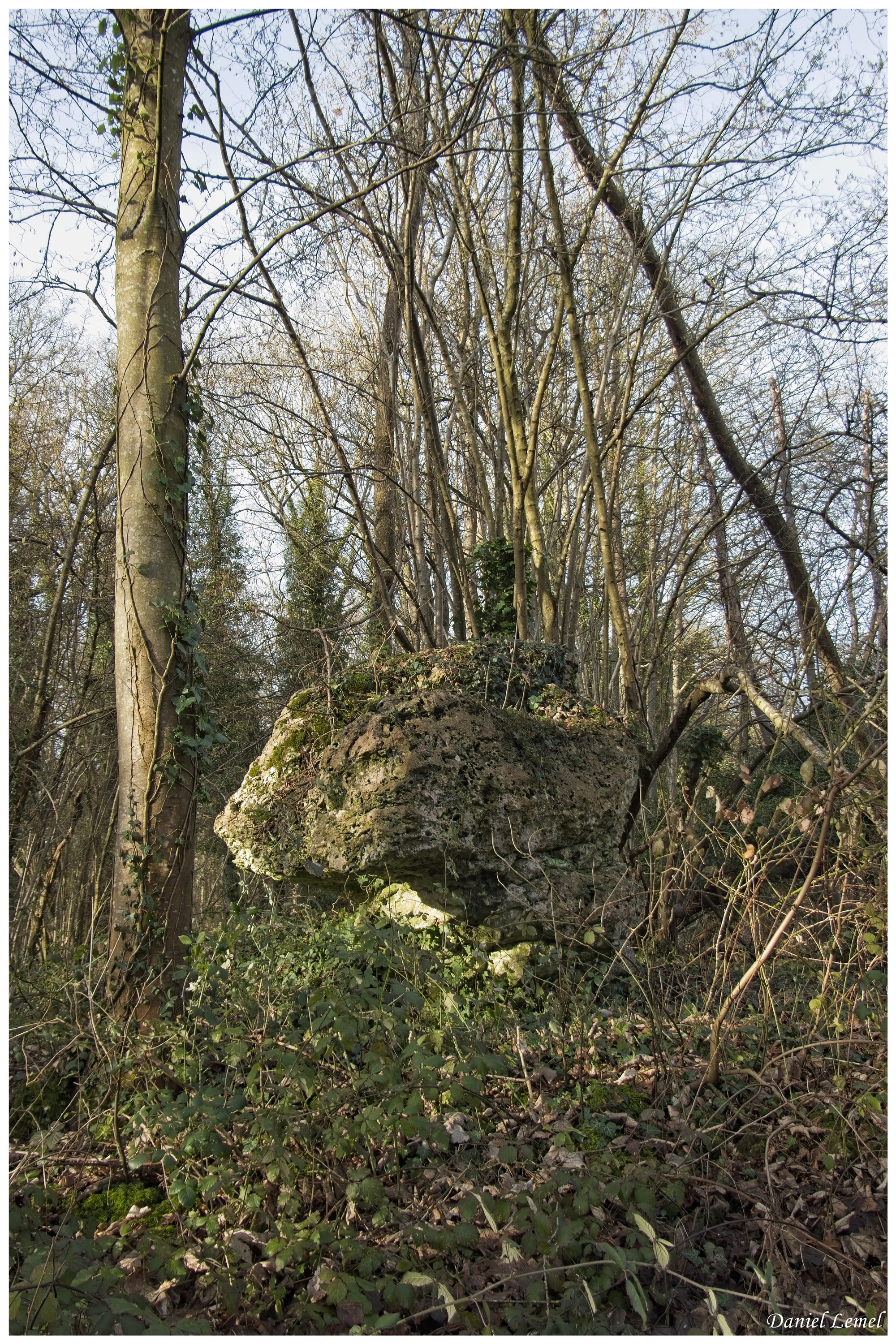  DSC0651W