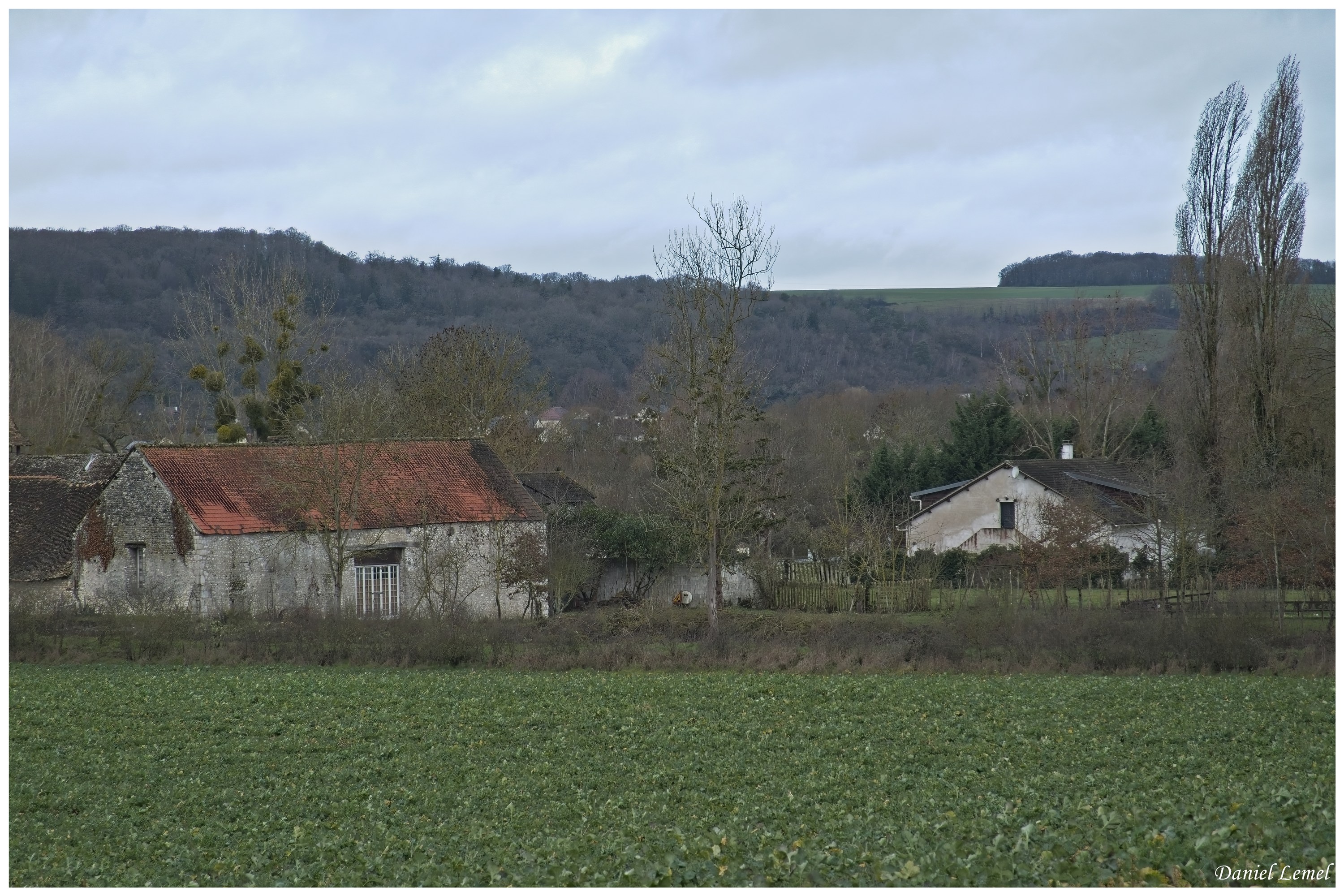  DSC0729W