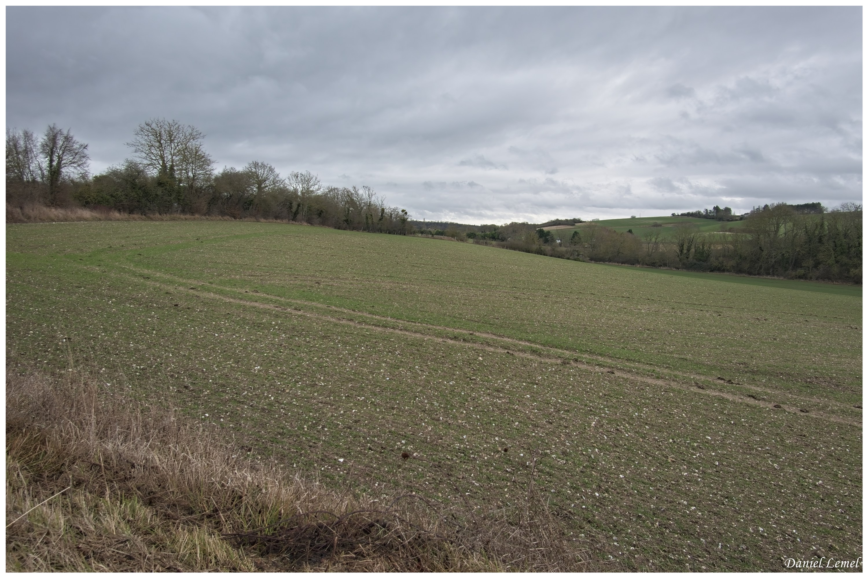  DSC0734W