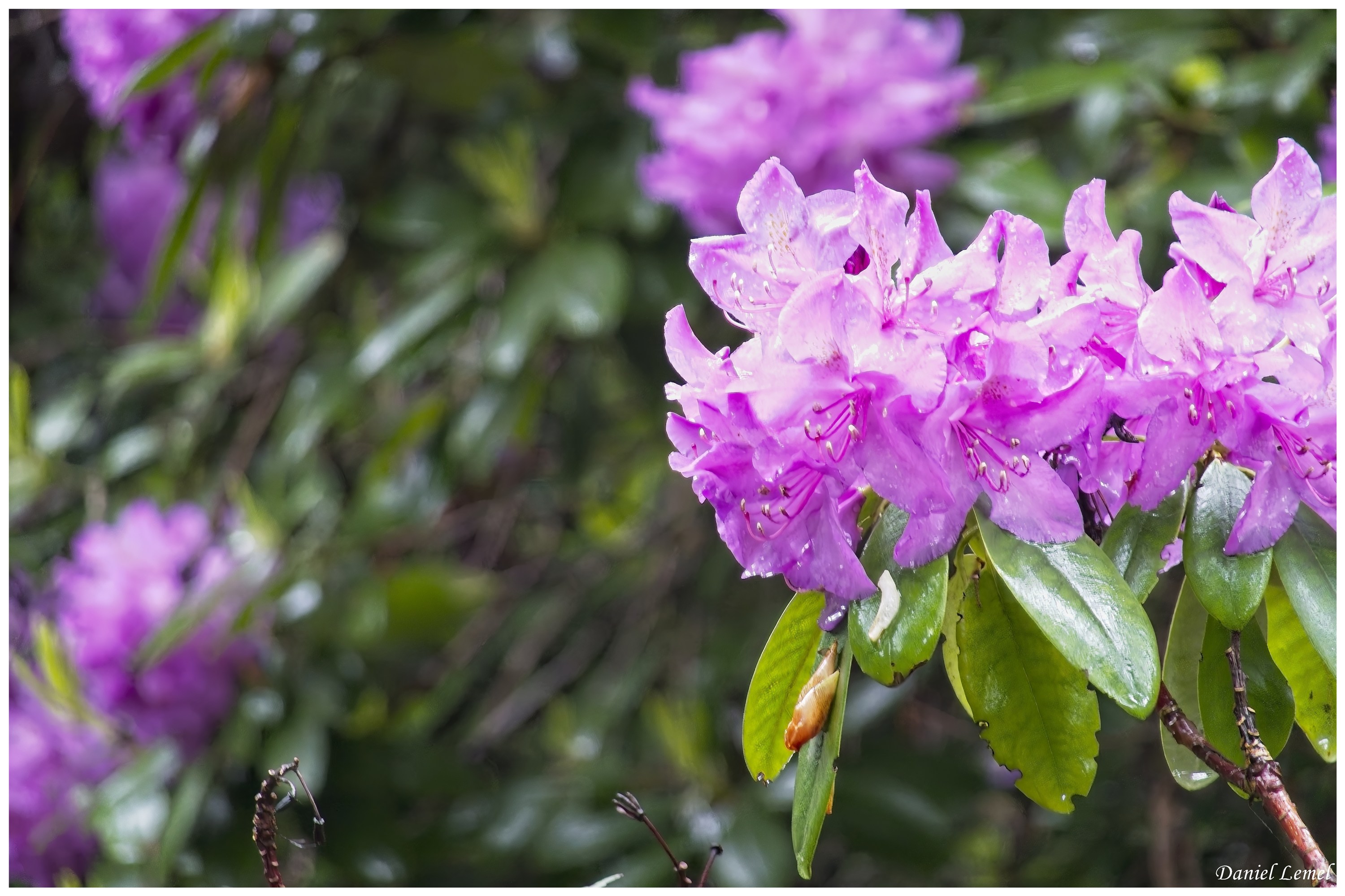  DSC3404W