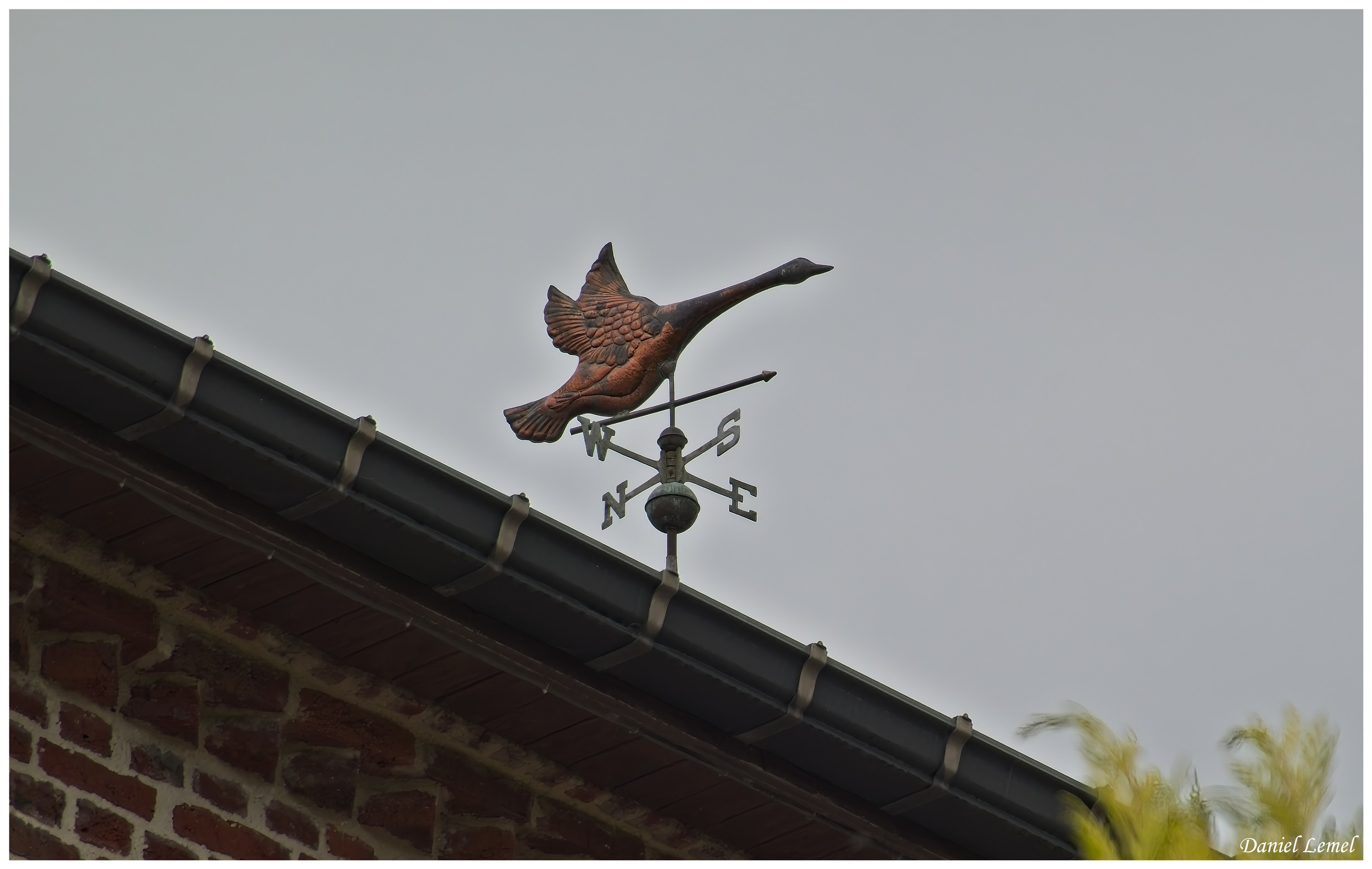  DSC7055 001W