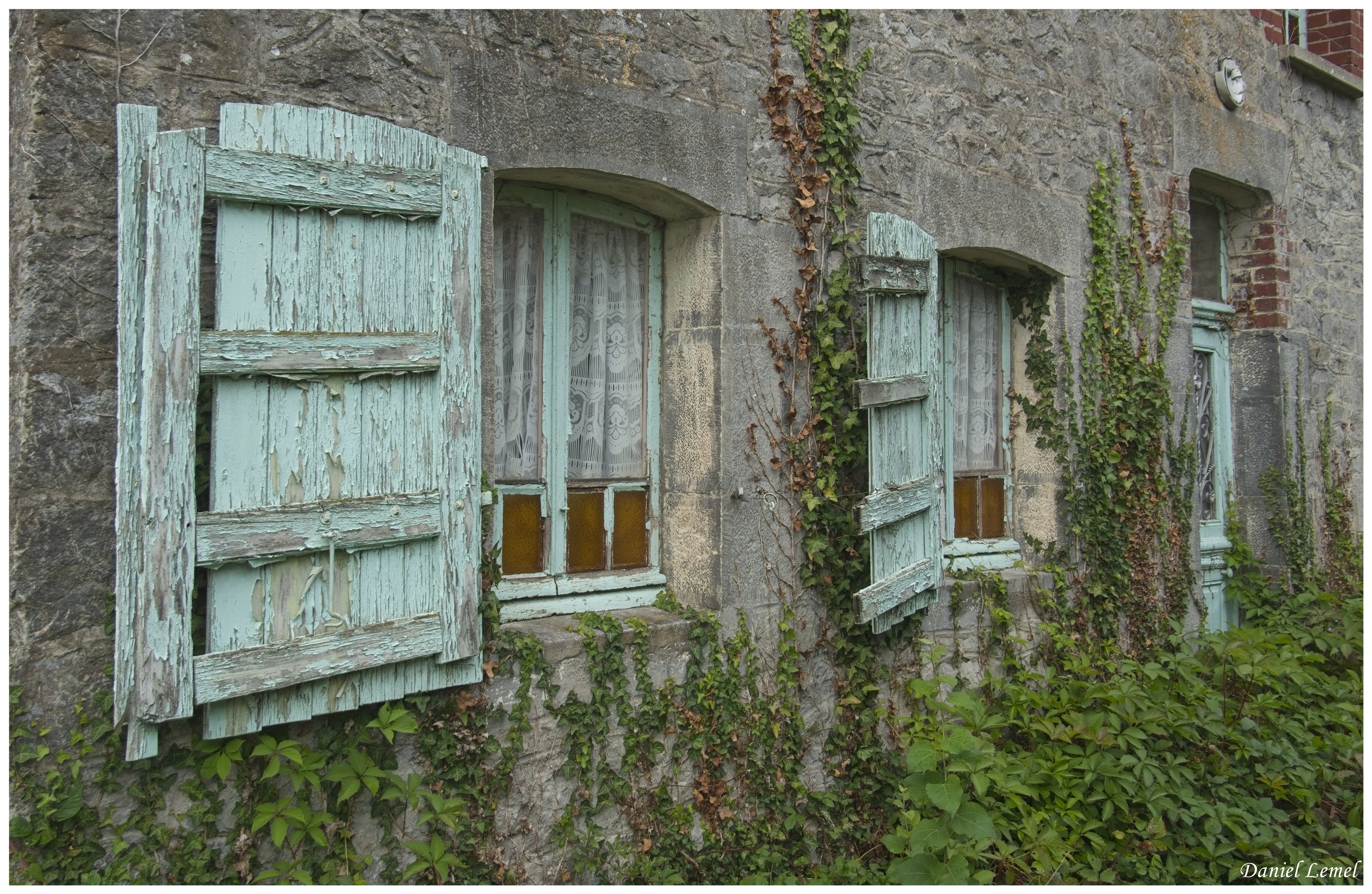  DSC7059 001W