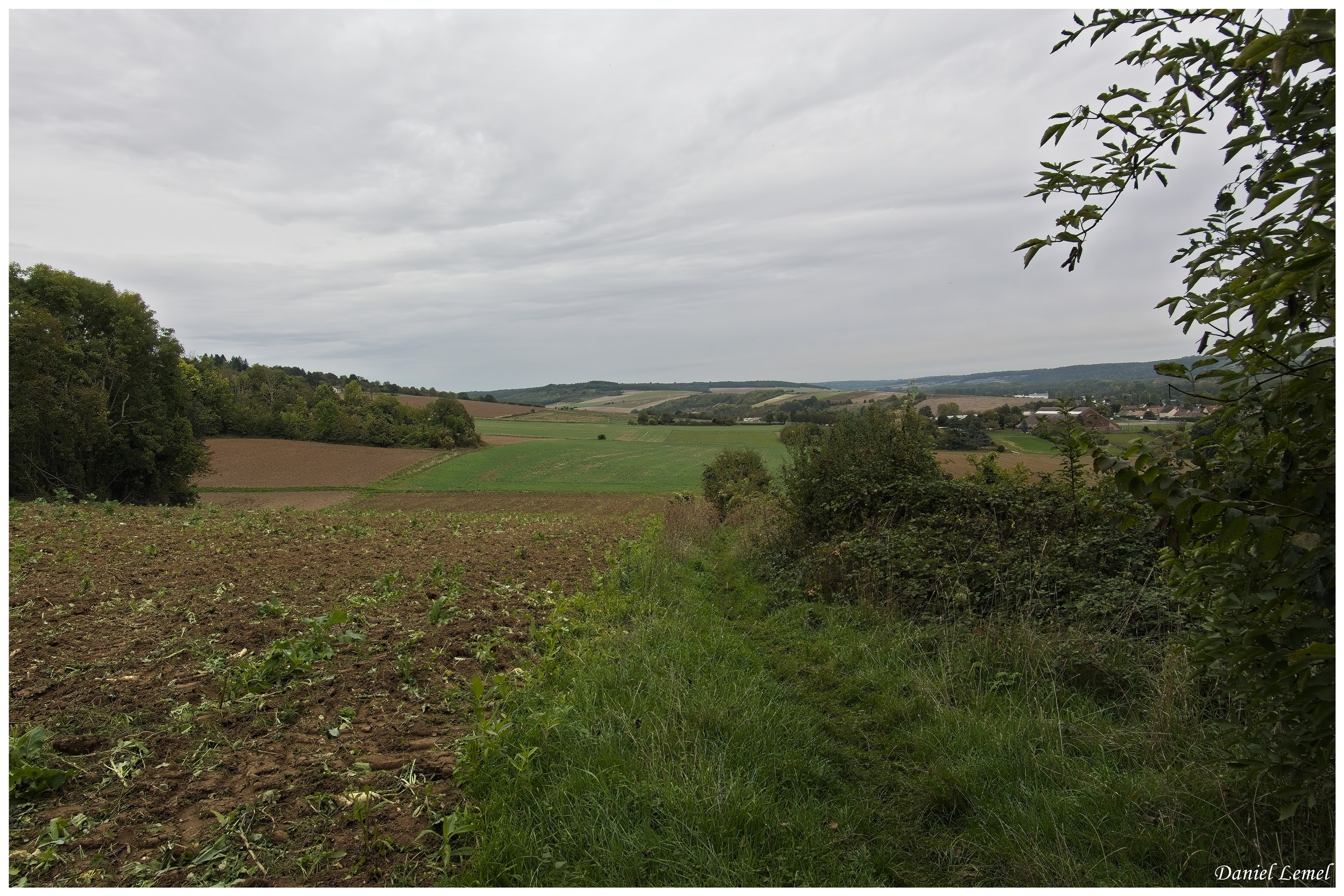  DSC8068W