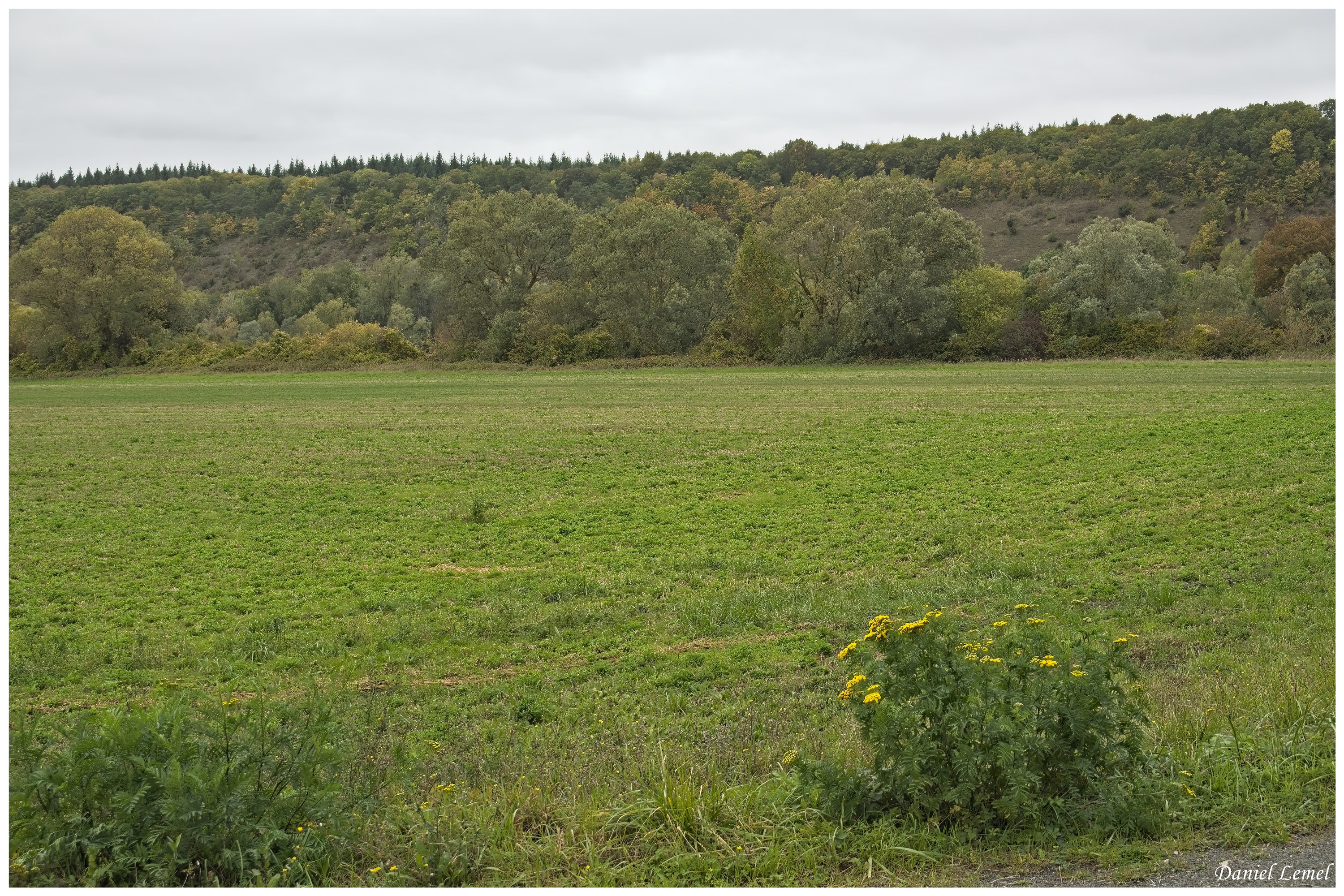  DSC8137W