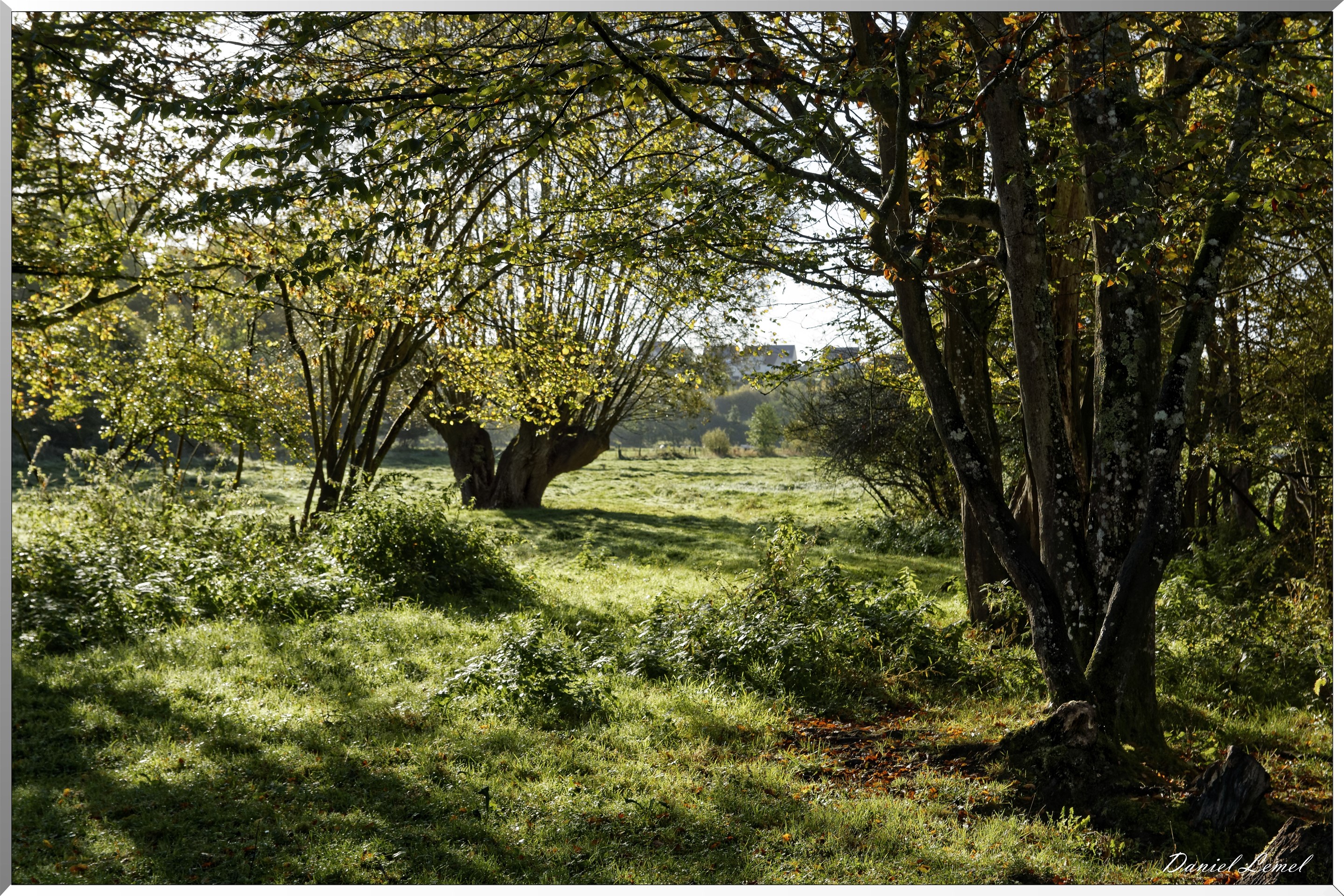 Gamache-en-Vexin
